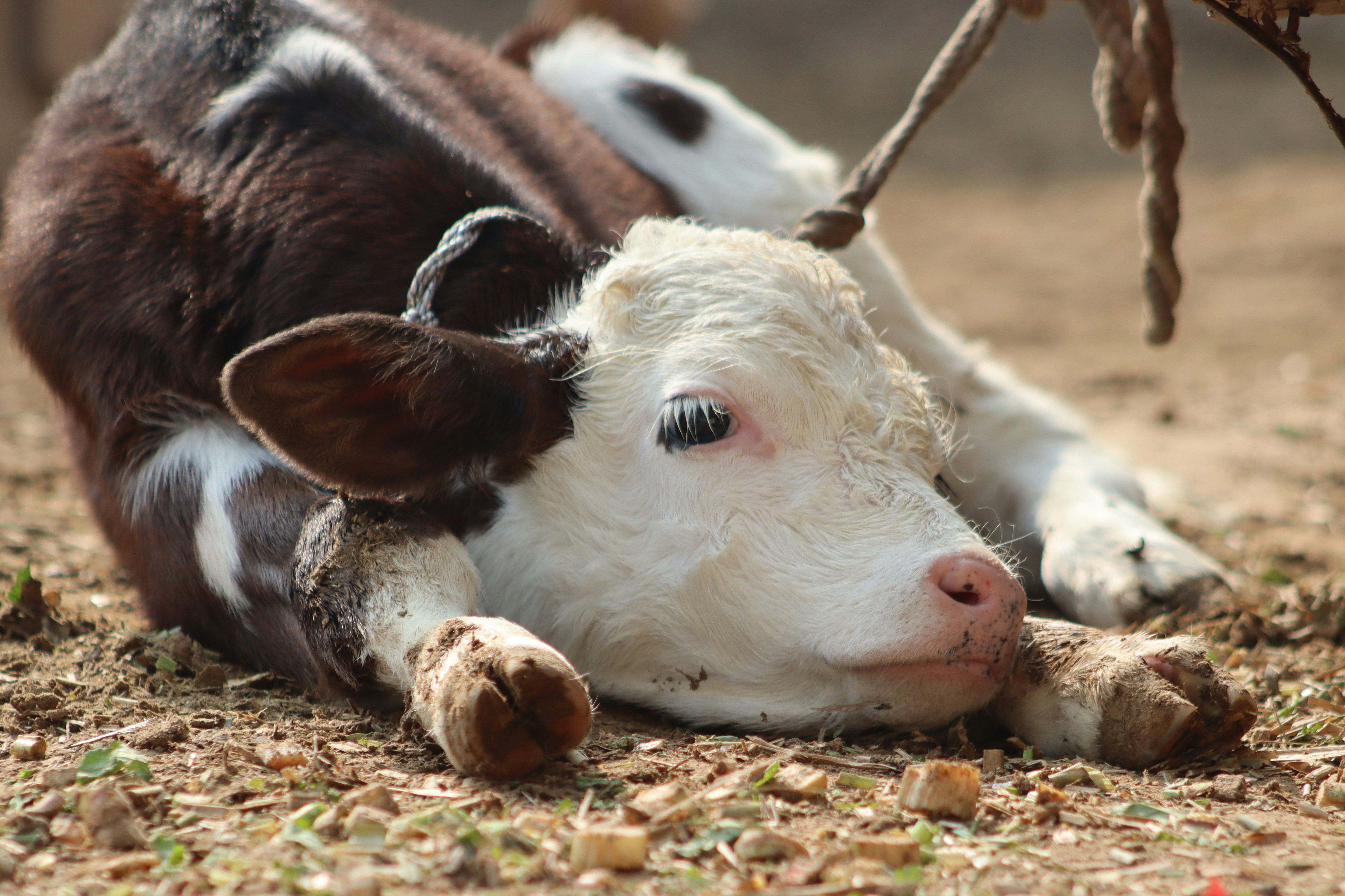 Photo by drphotographer152