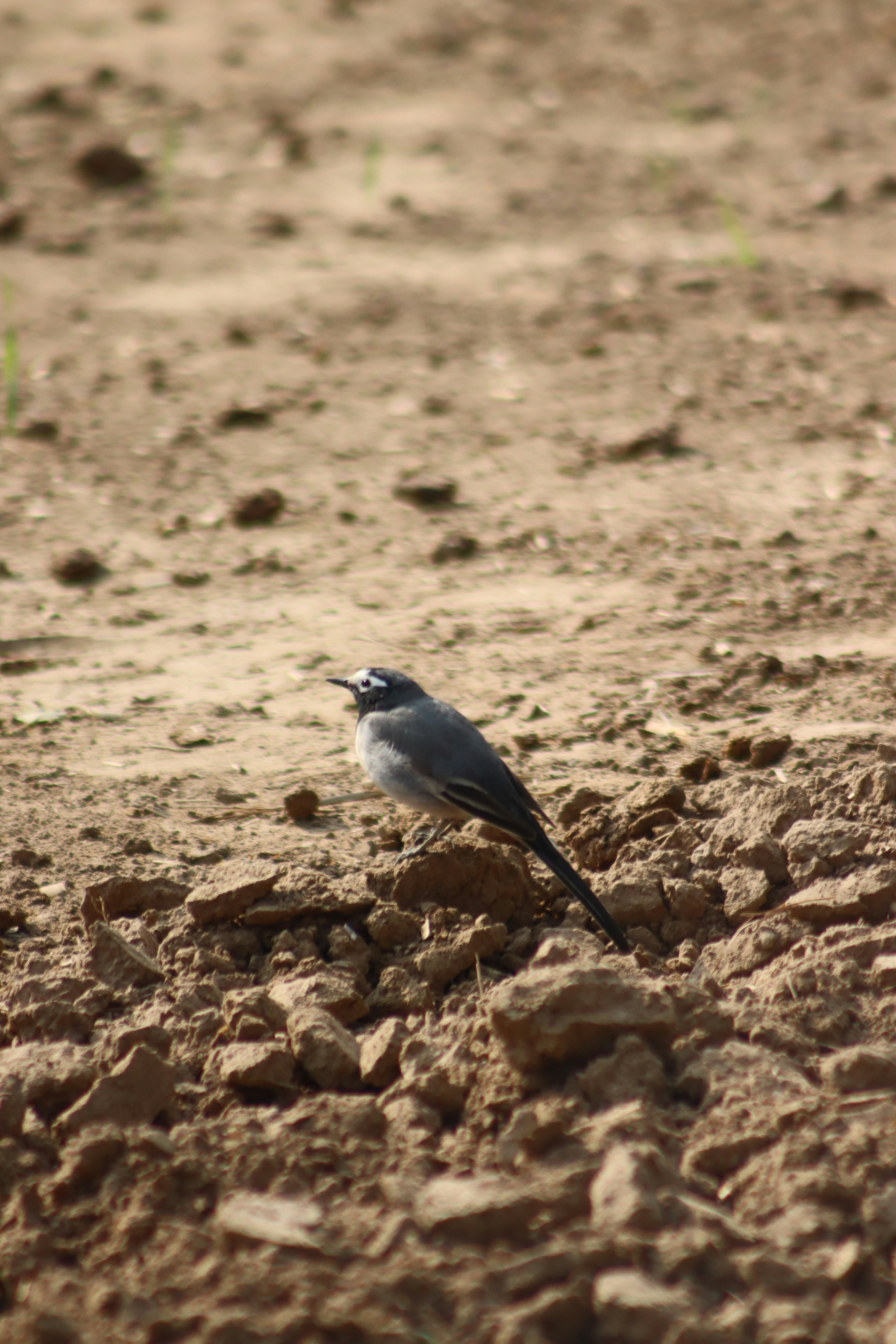 Photo by drphotographer152