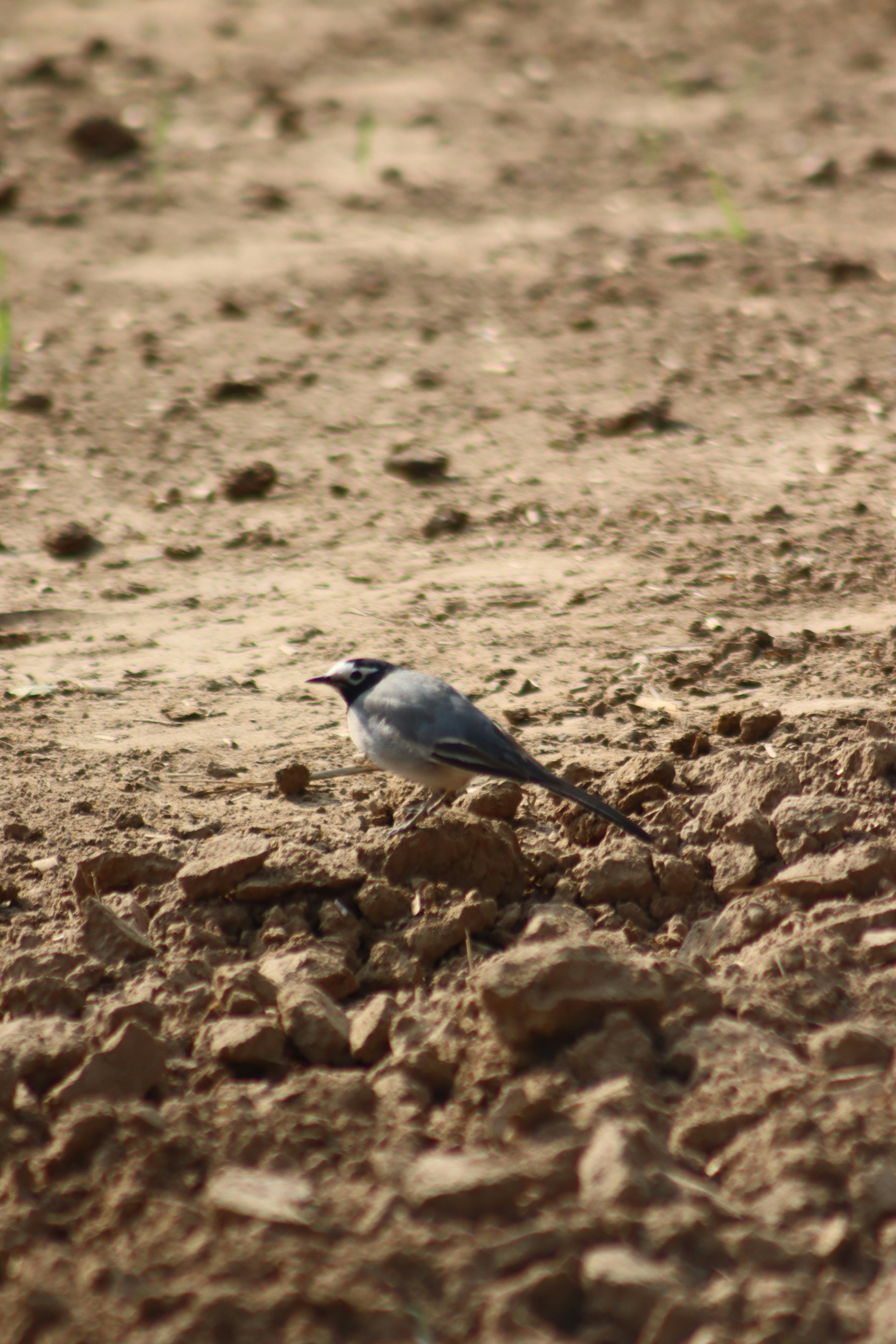 Photo by drphotographer152