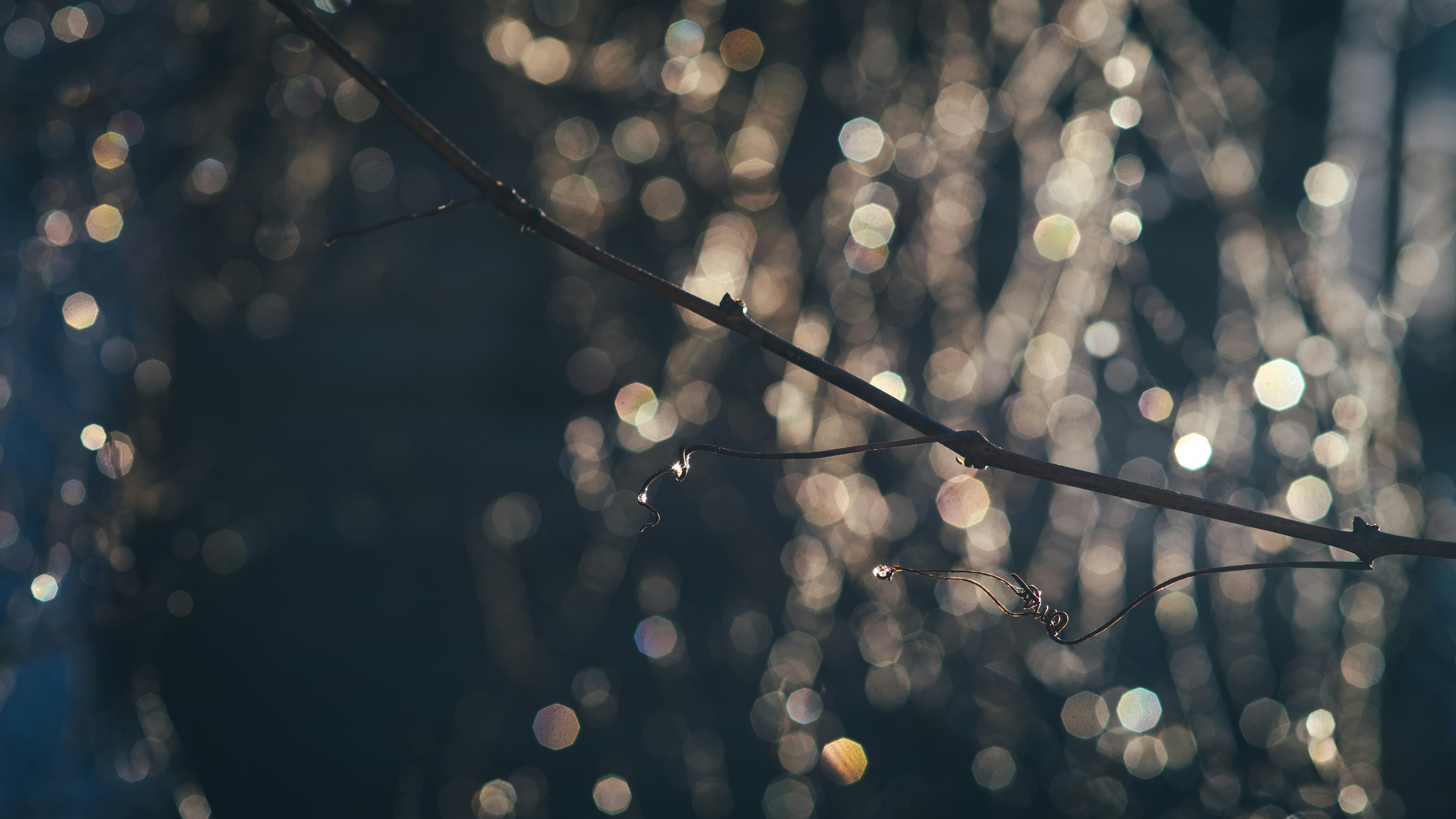 Photo by onmywayhome