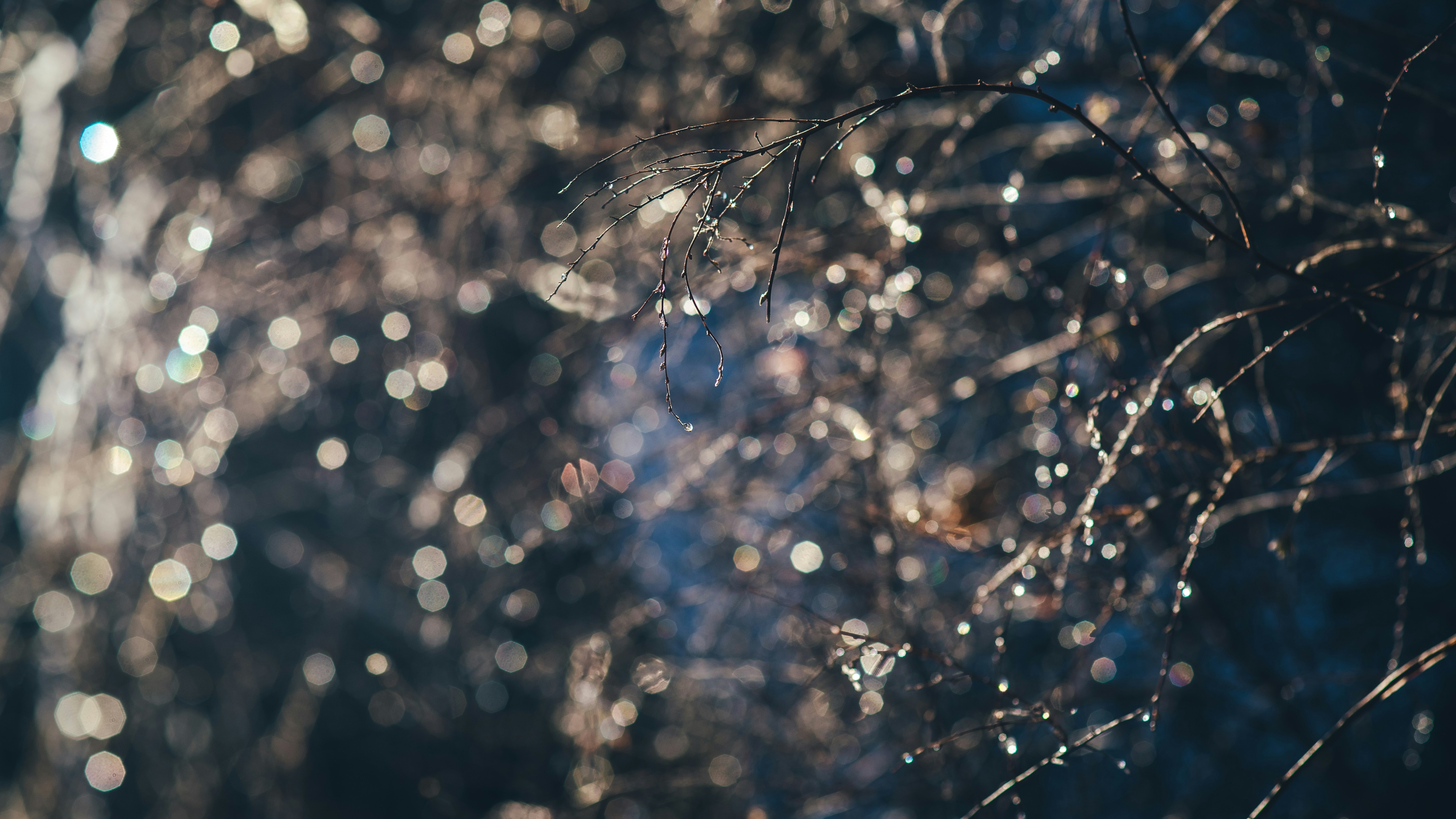 Photo by onmywayhome