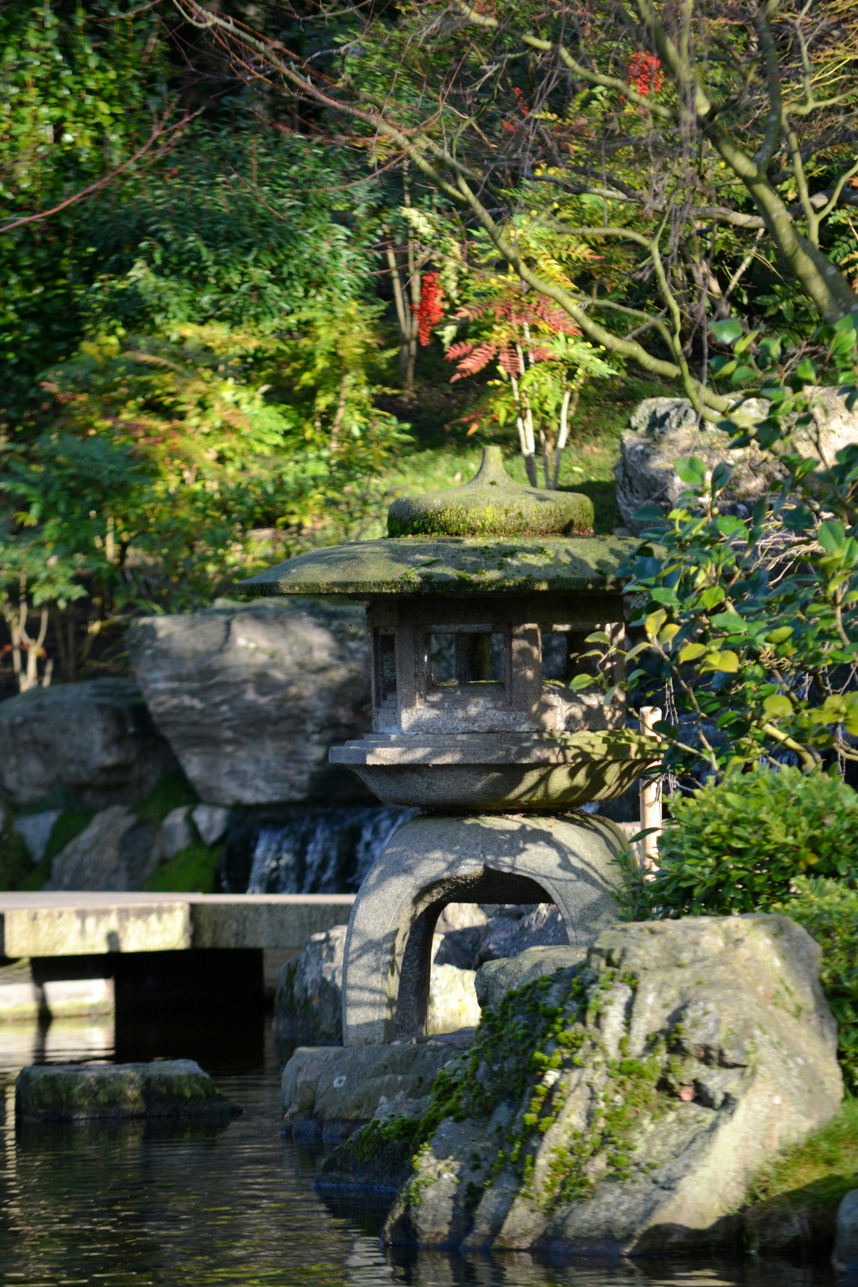 Un estanque rodeado de rocas y árboles en un parque