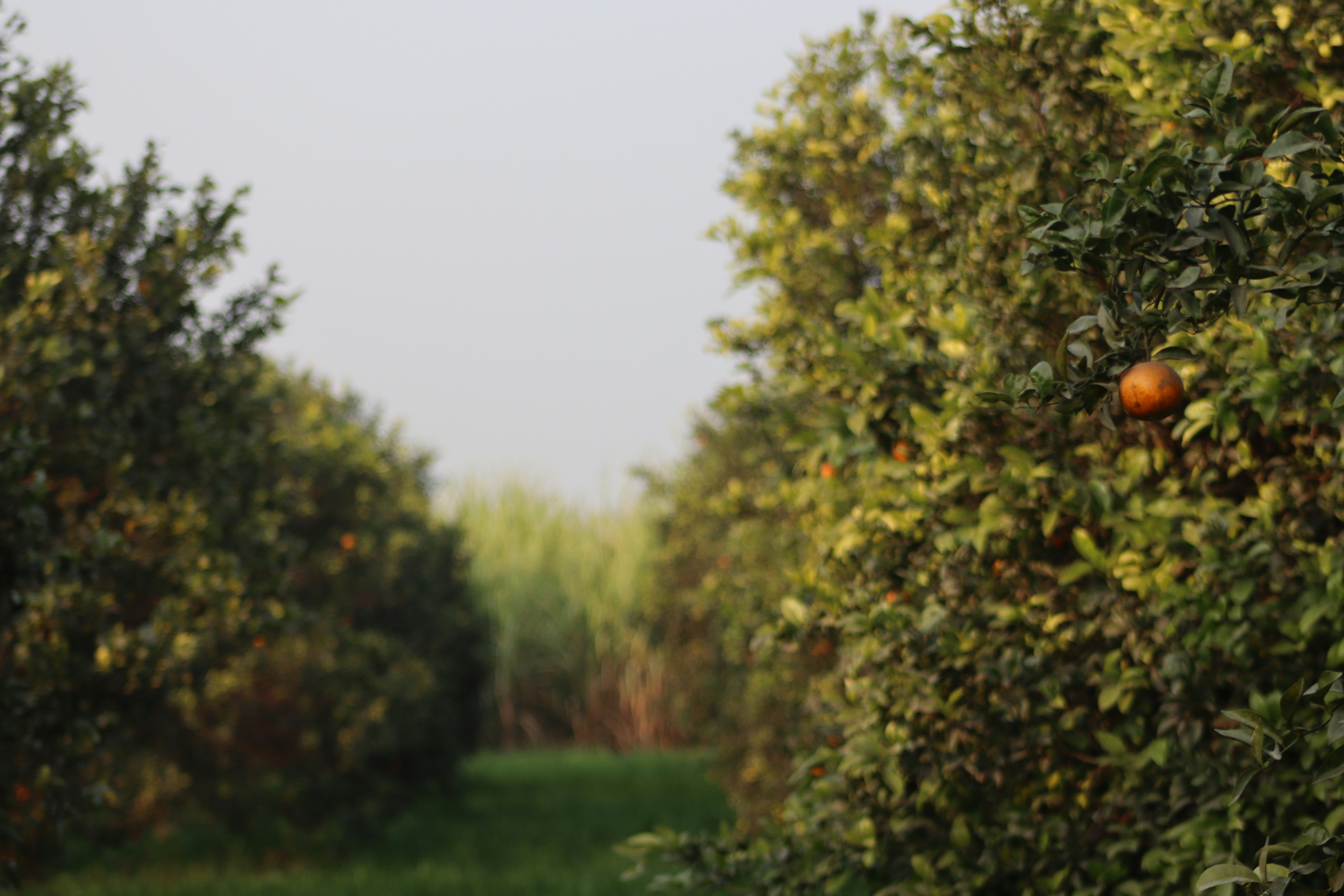 Photo by drphotographer152