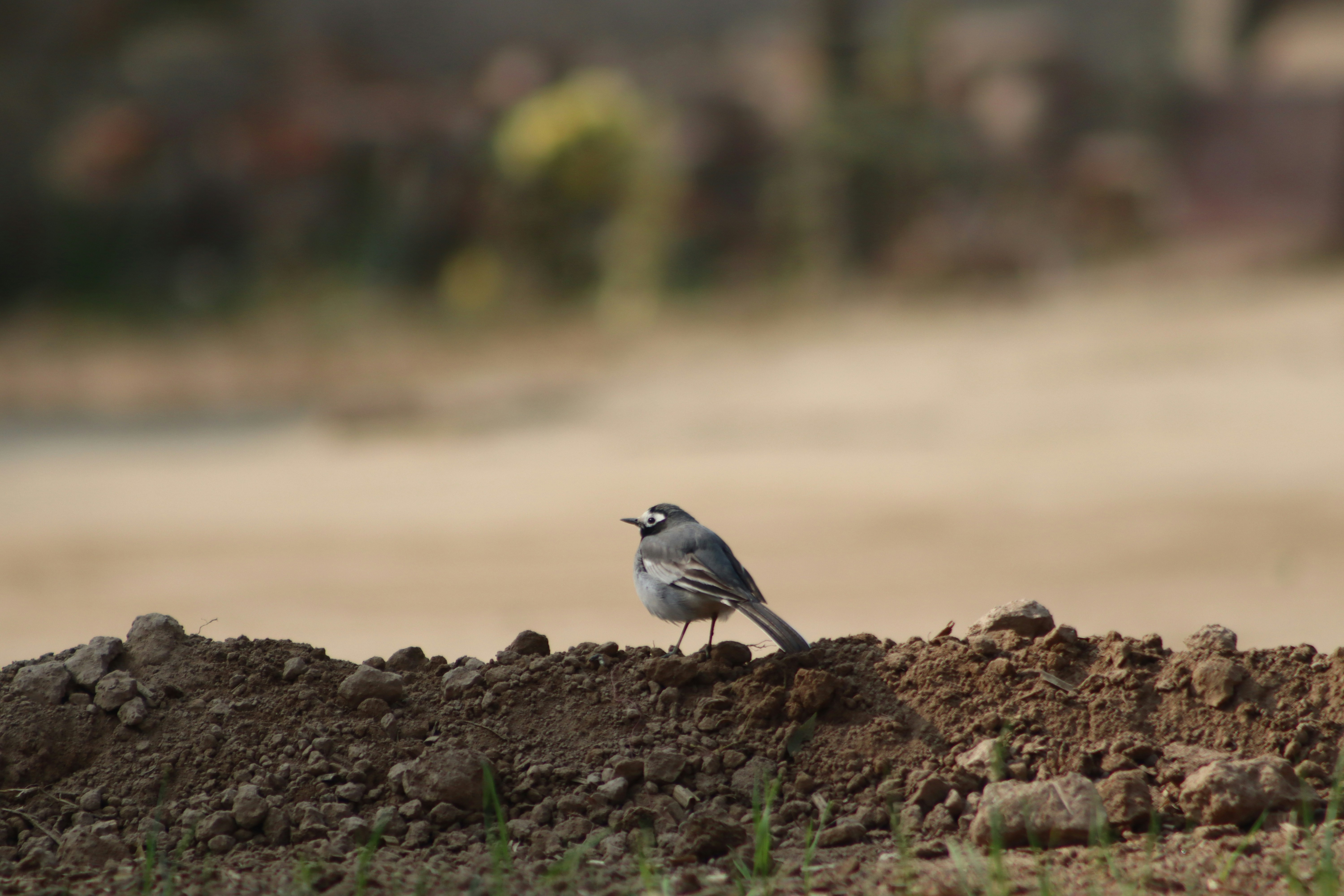 Photo by drphotographer152