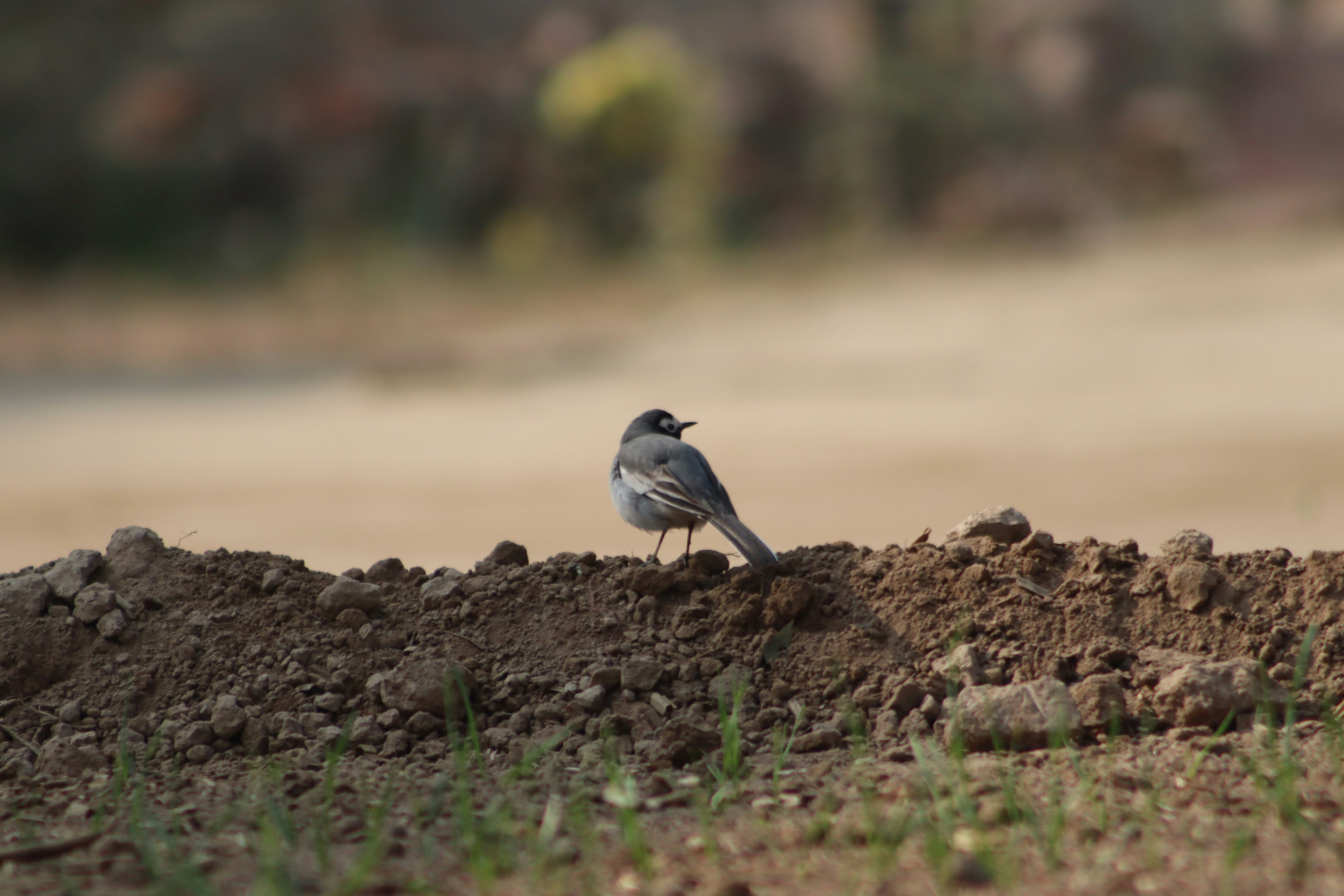 Photo by drphotographer152