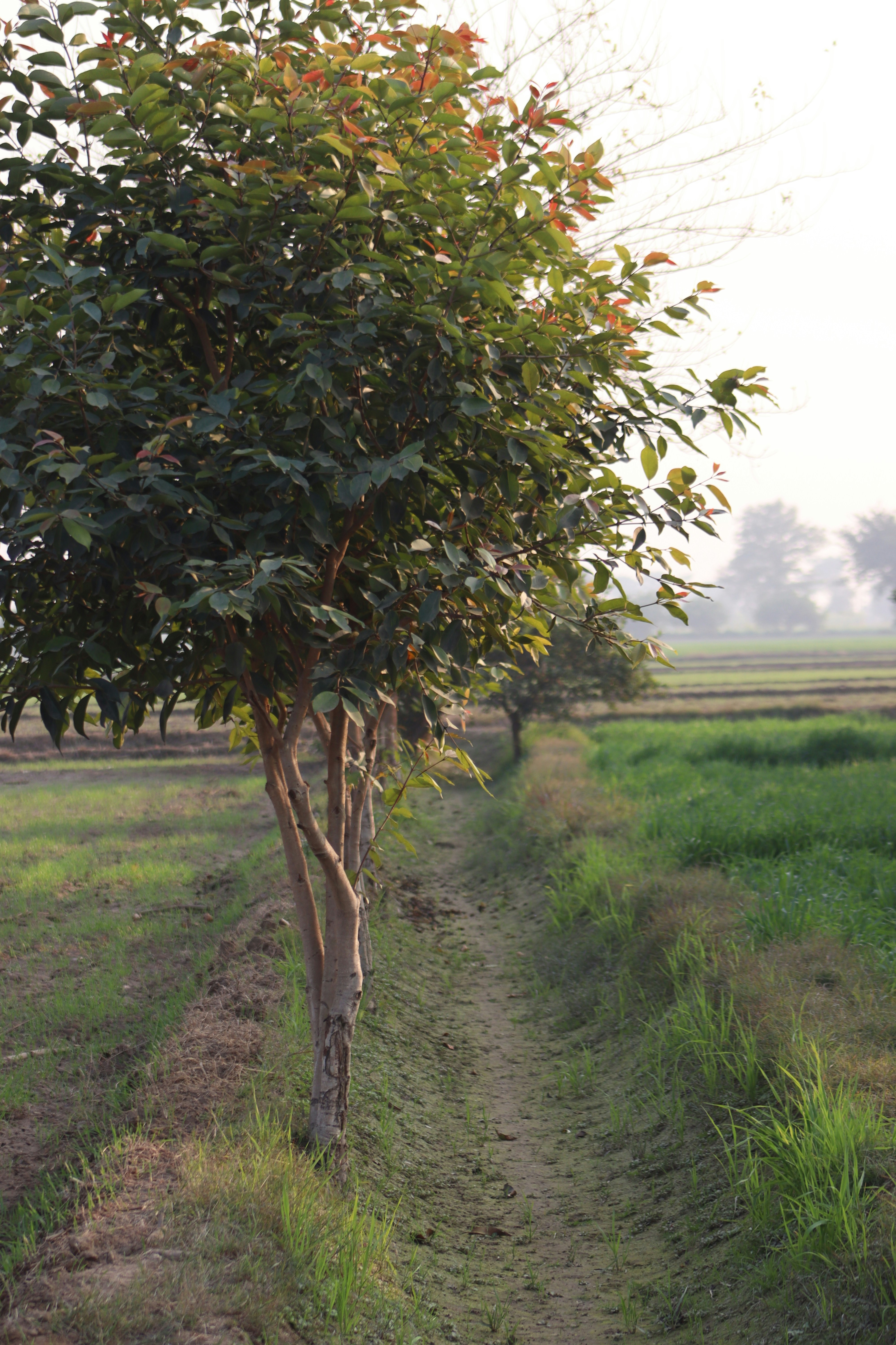 Photo by drphotographer152