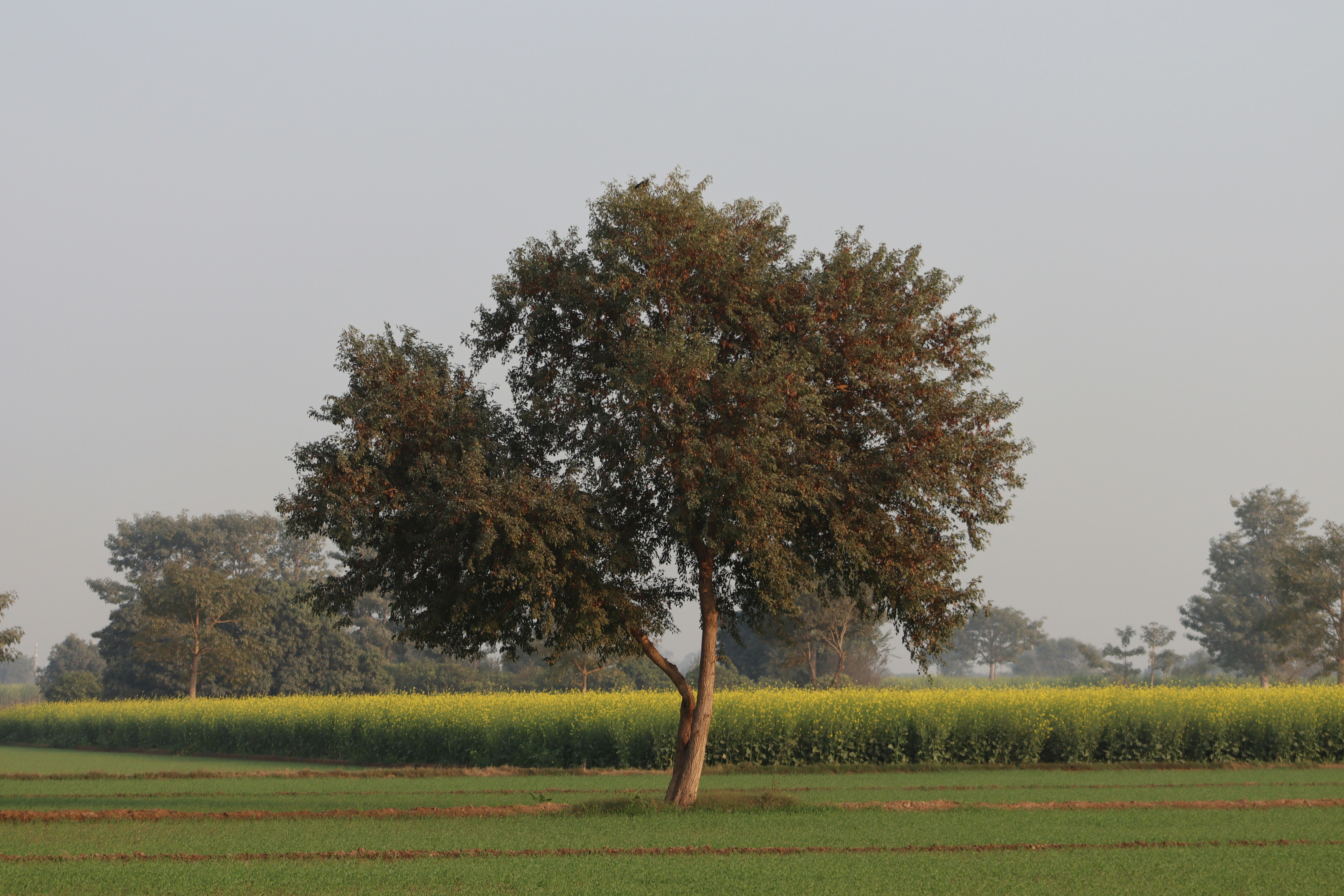 Photo by drphotographer152