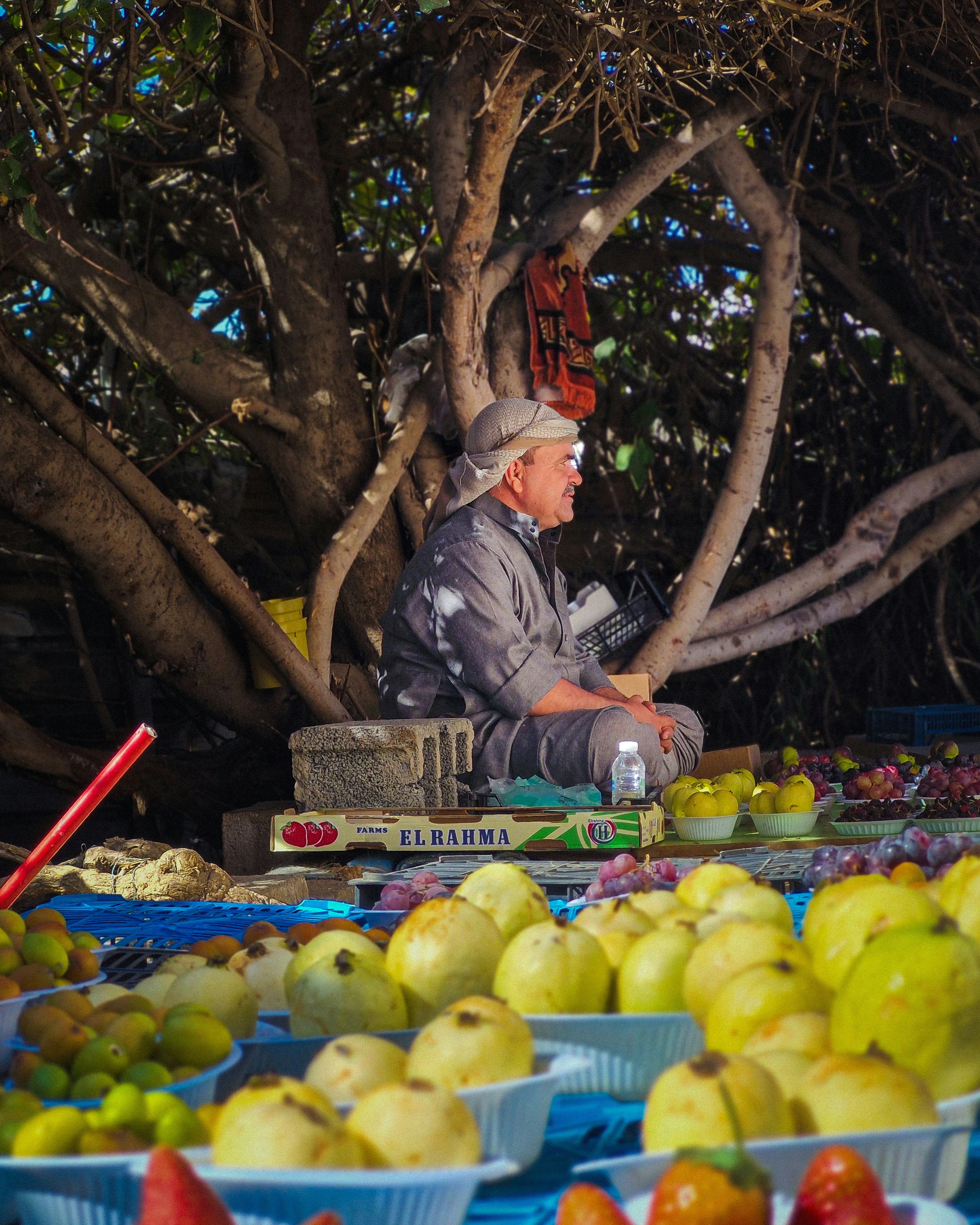 Taif – Nightlife & Evening Culture