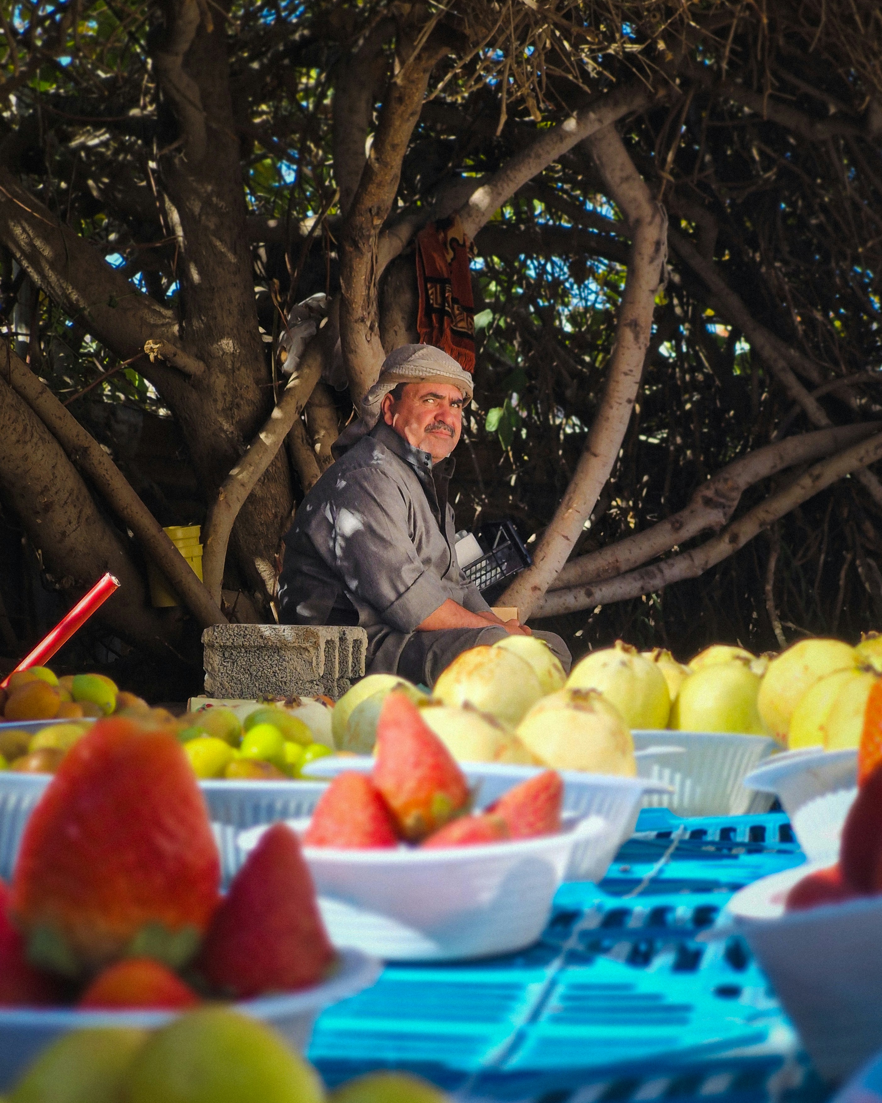 Taif – Natural Environment & Landscapes