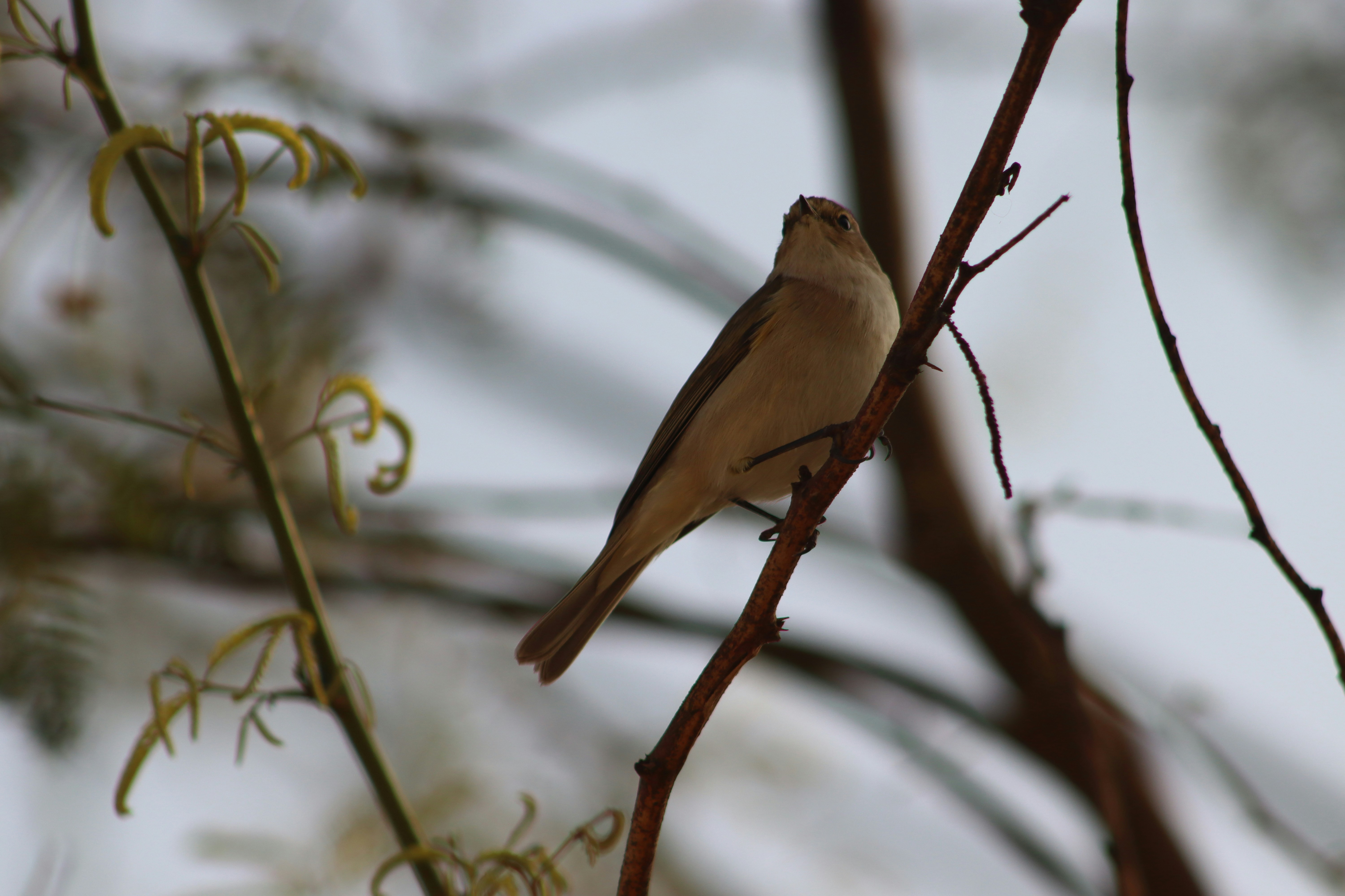 Photo by drphotographer152