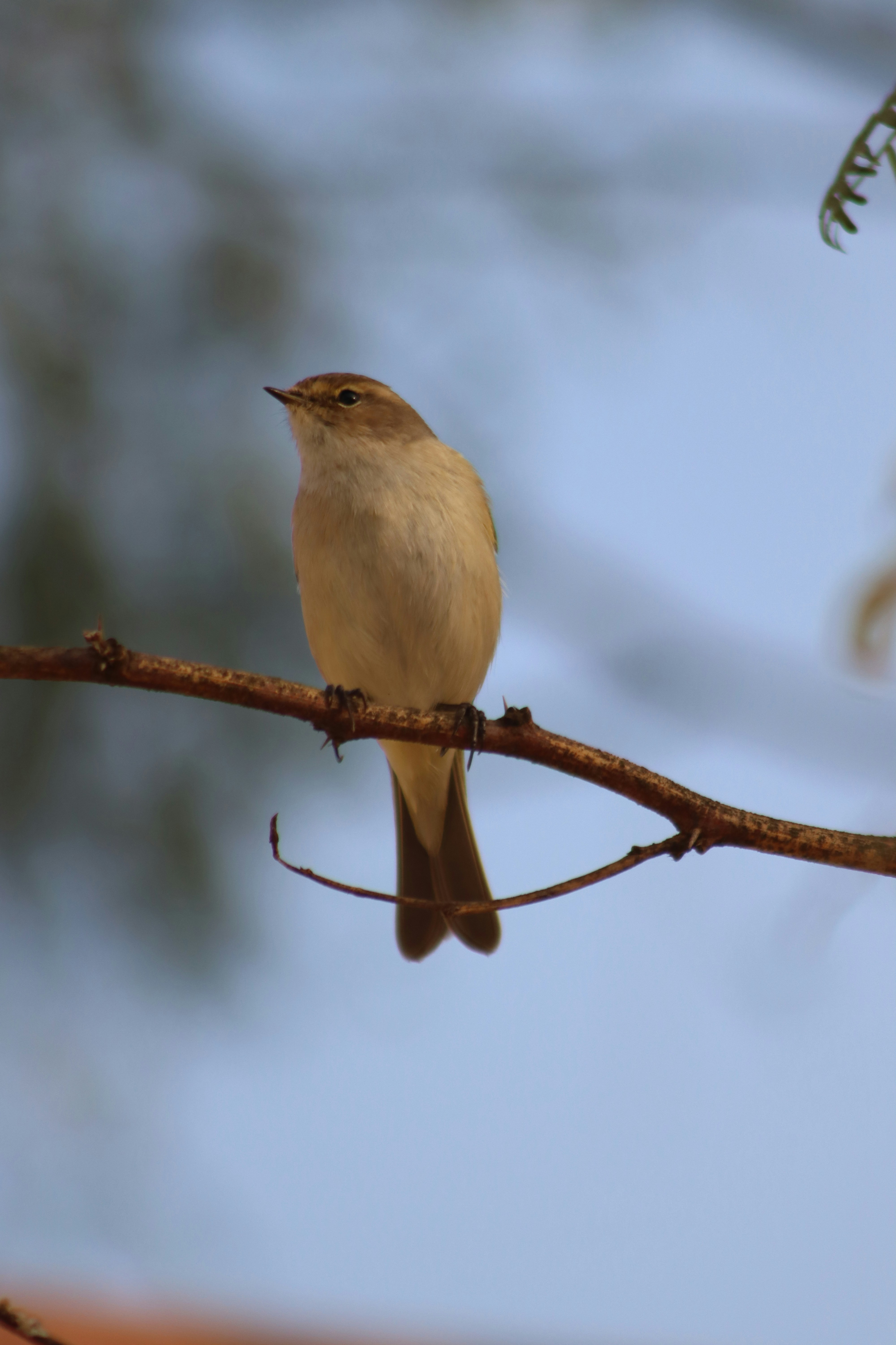 Photo by drphotographer152