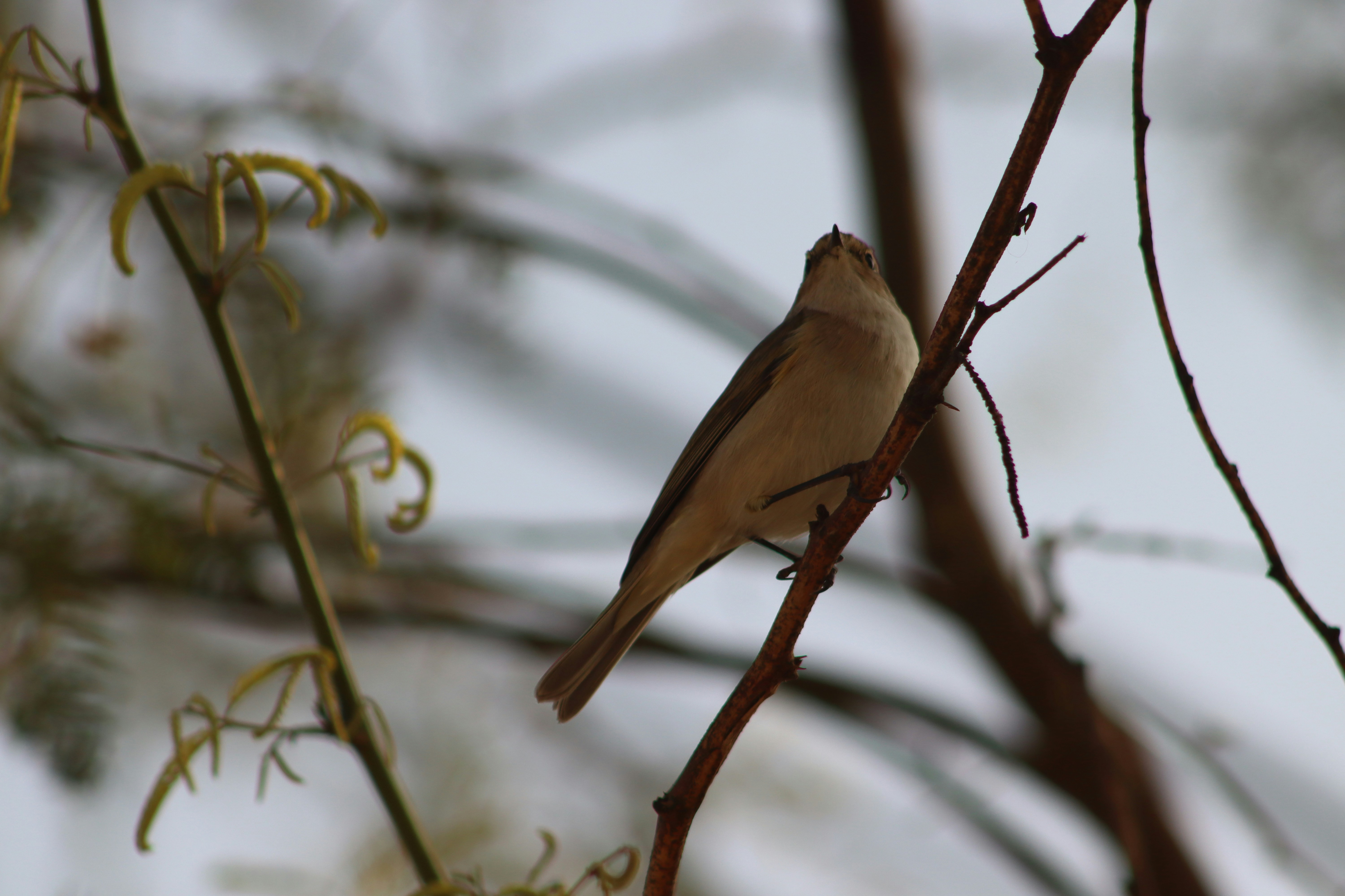 Photo by drphotographer152