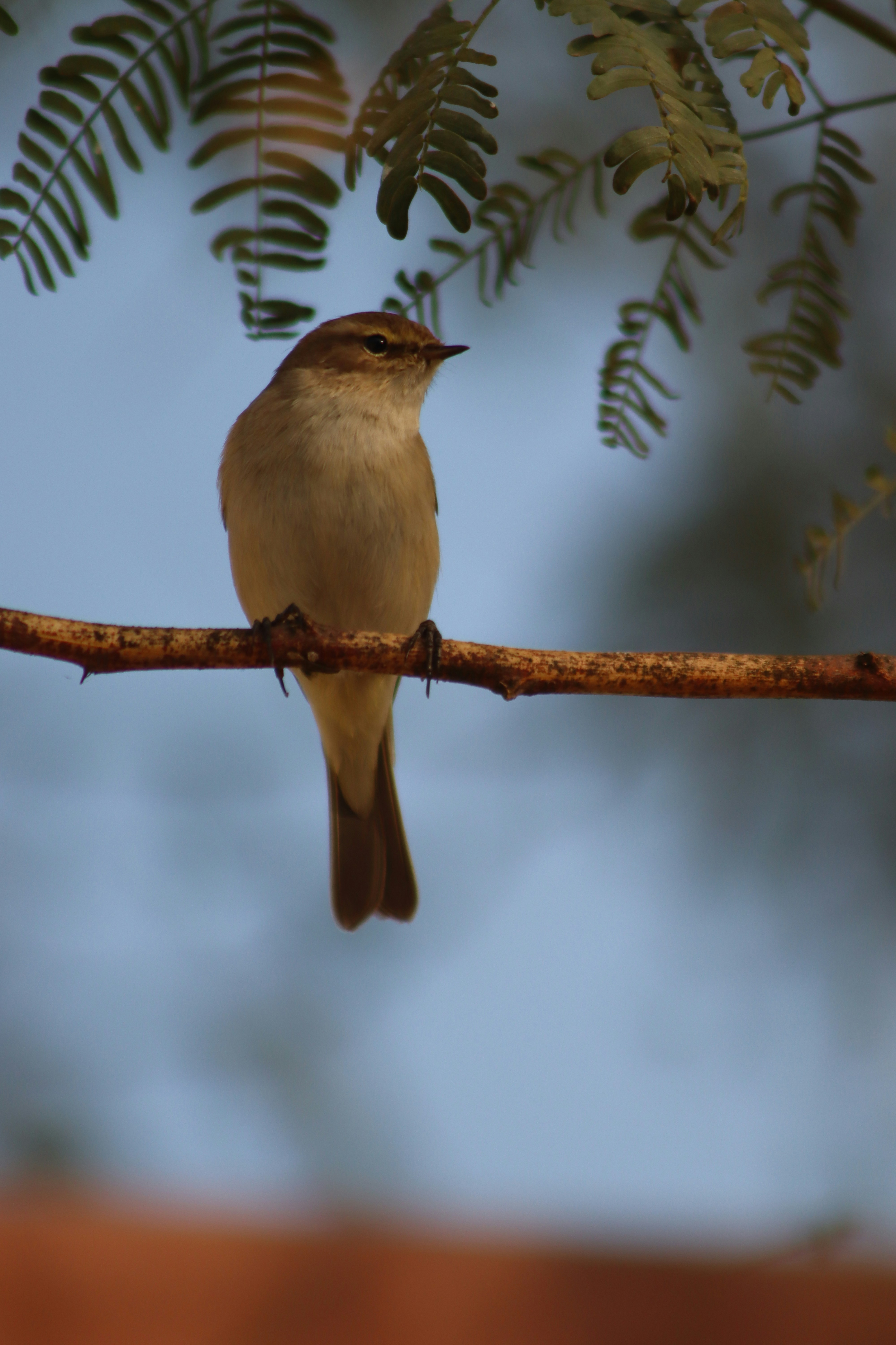 Photo by drphotographer152