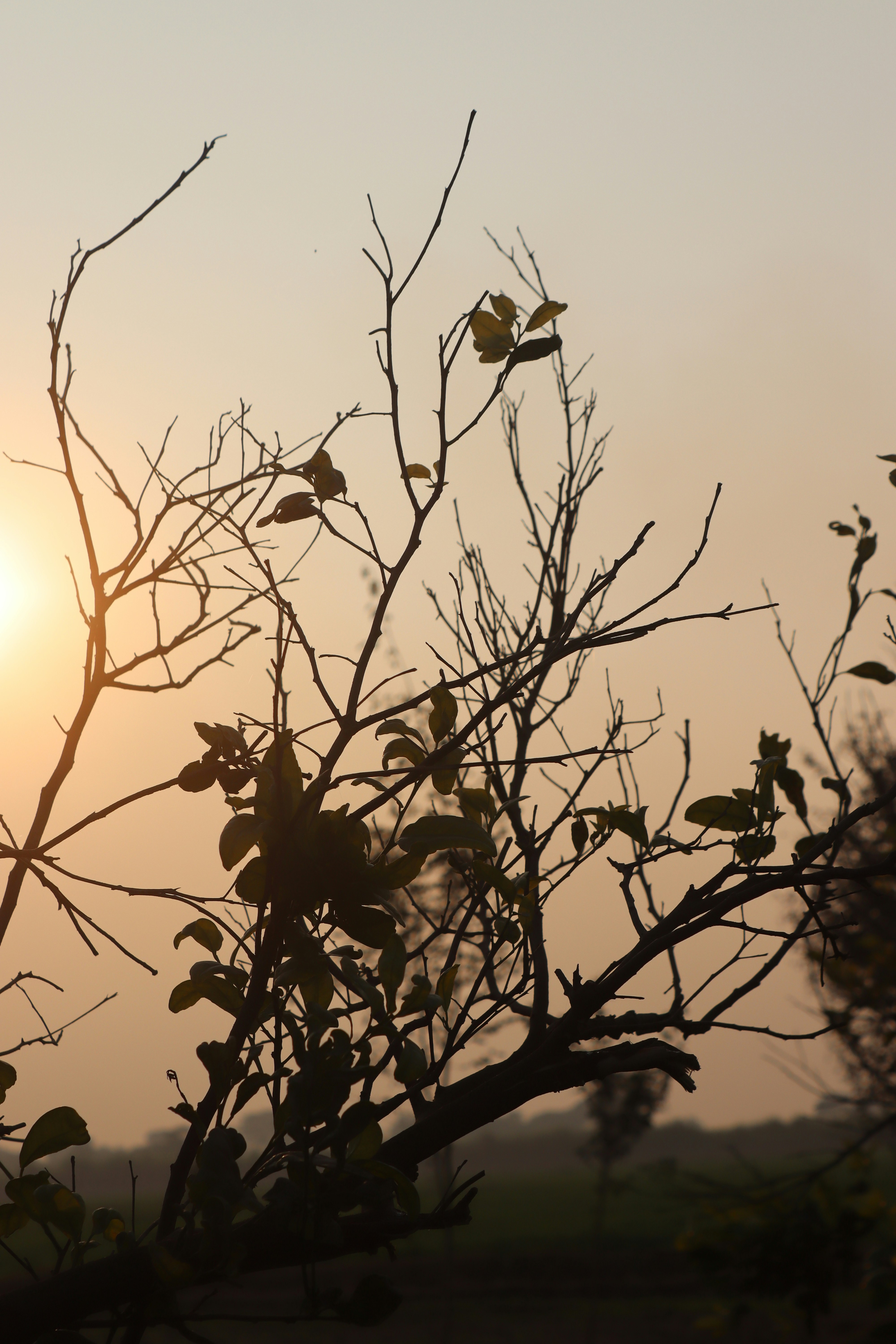 Photo by drphotographer152