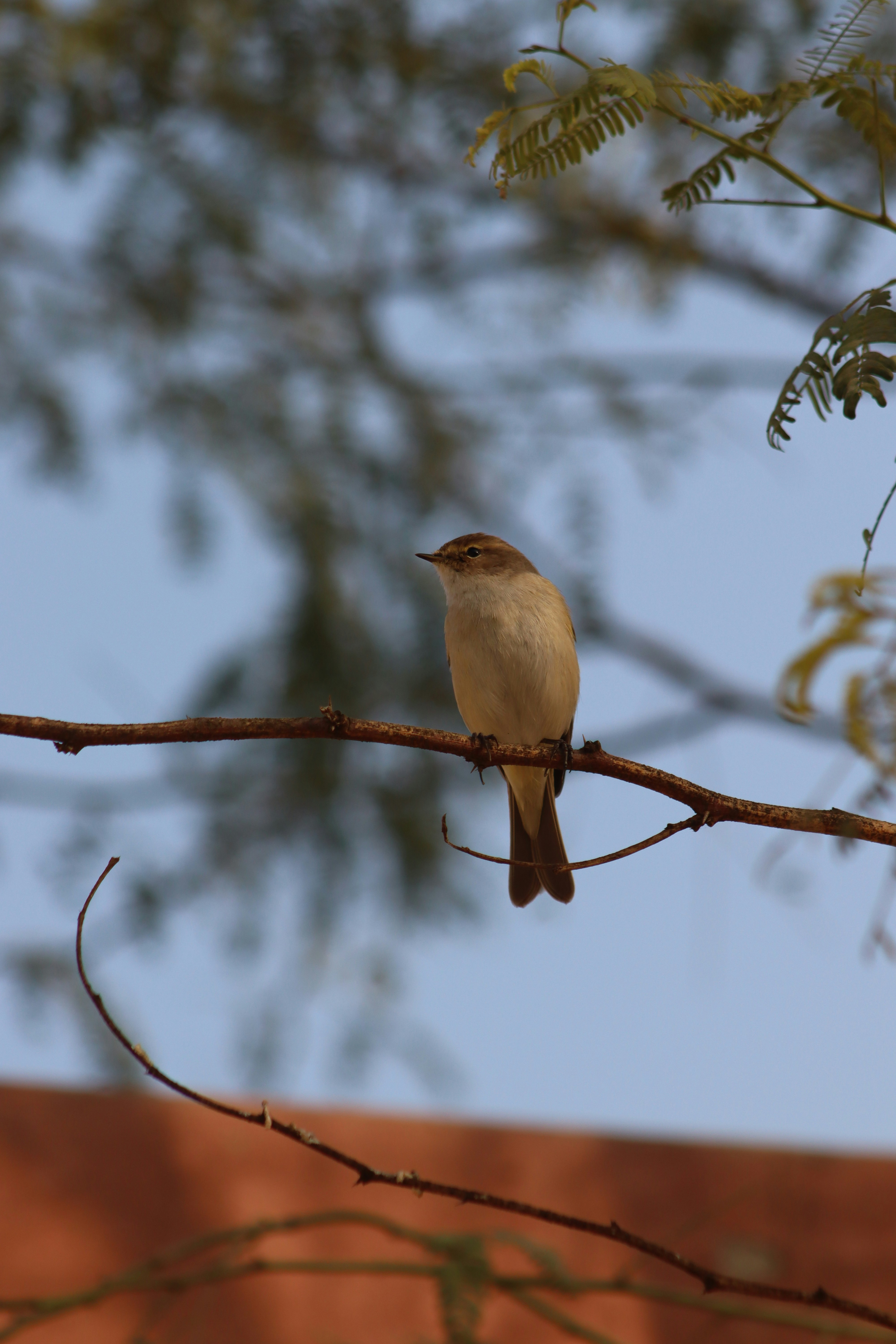 Photo by drphotographer152