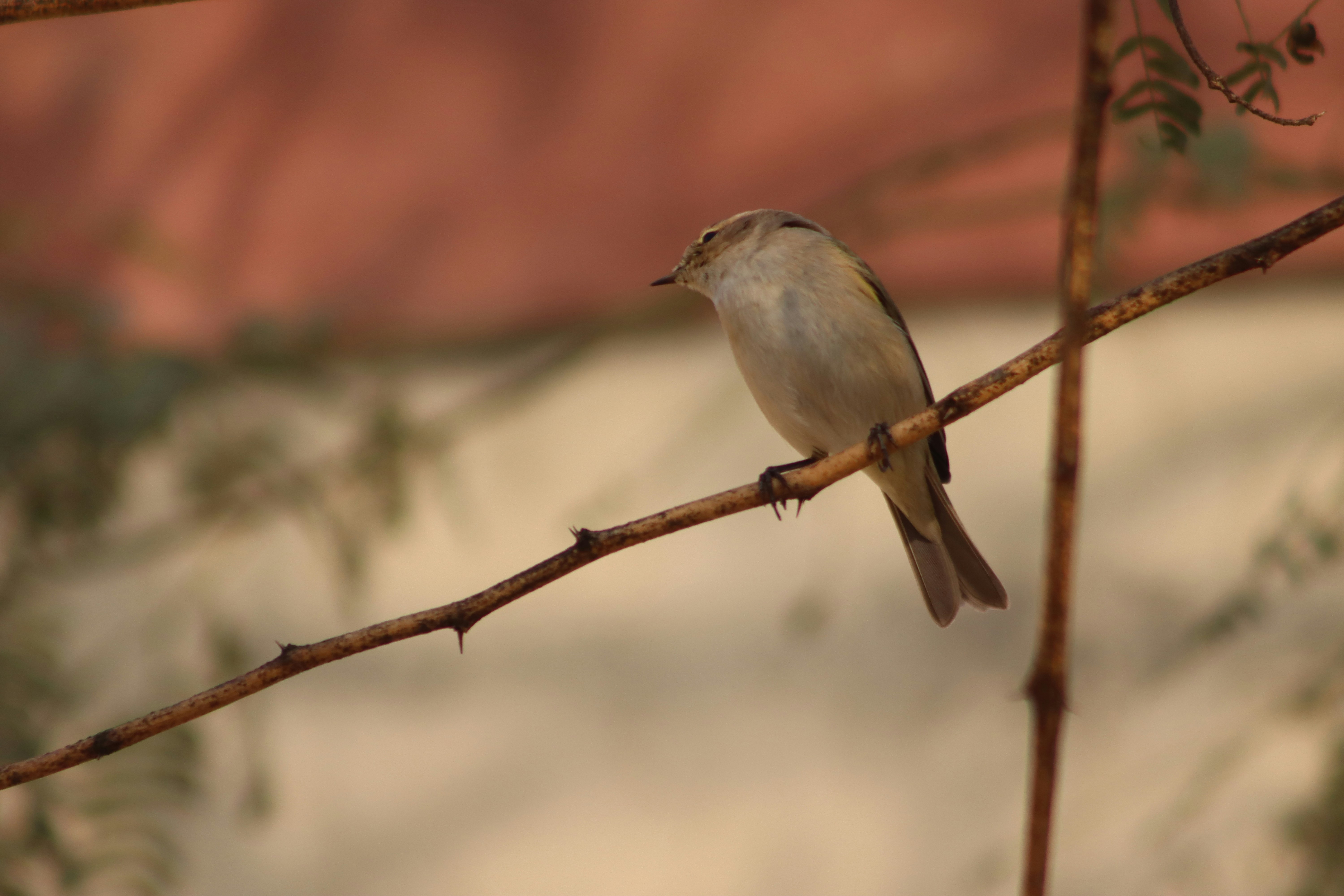 Photo by drphotographer152