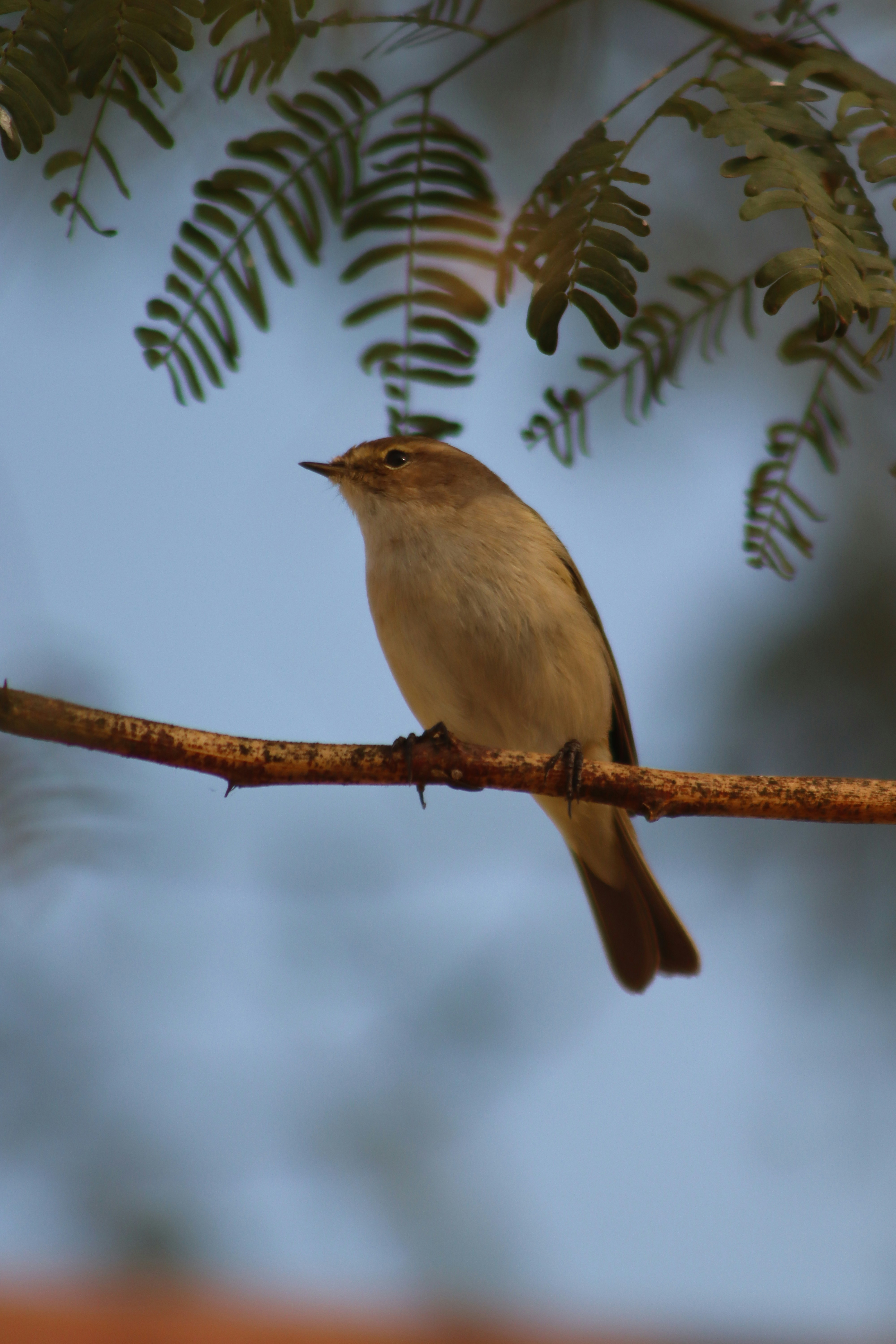 Photo by drphotographer152