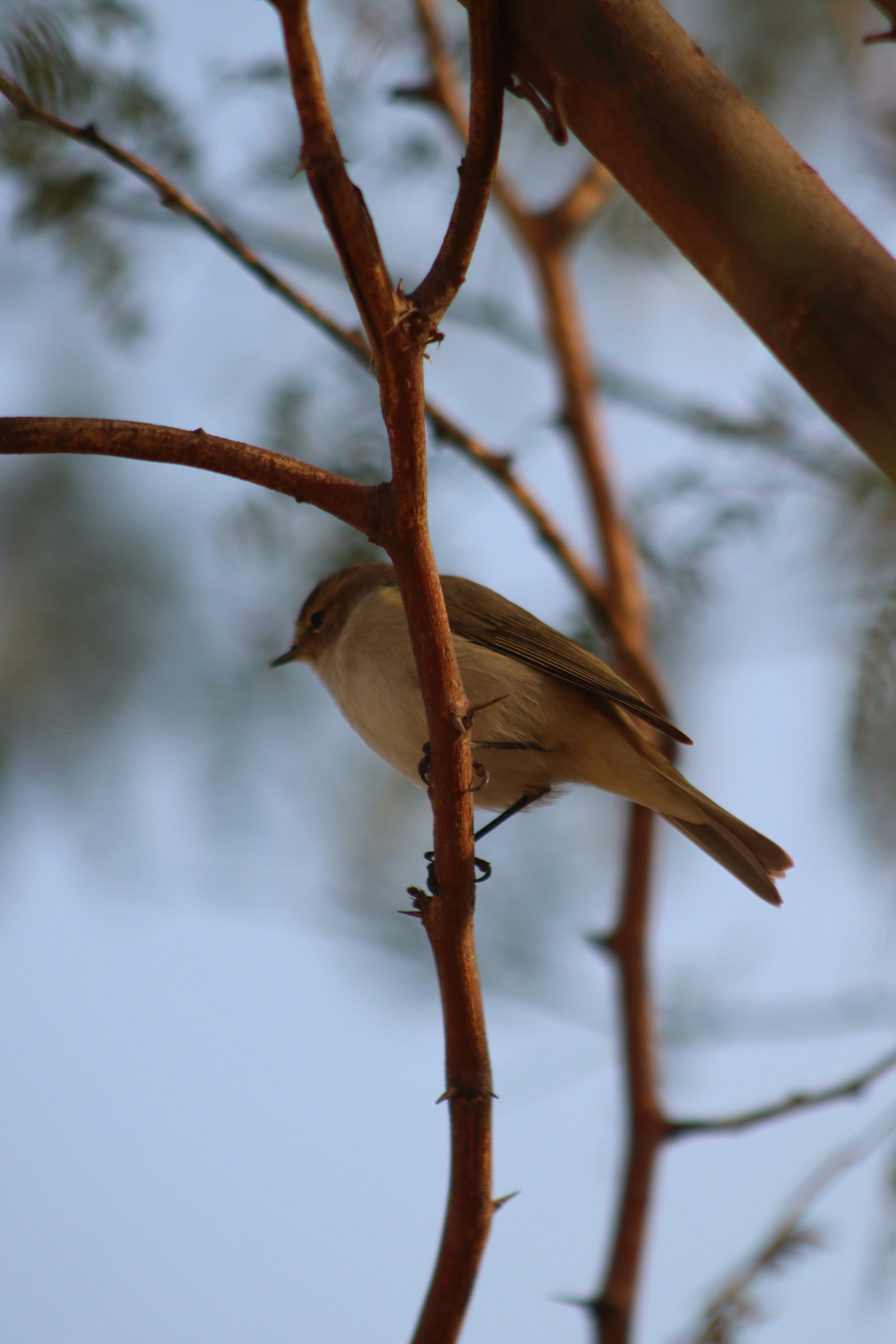 Photo by drphotographer152