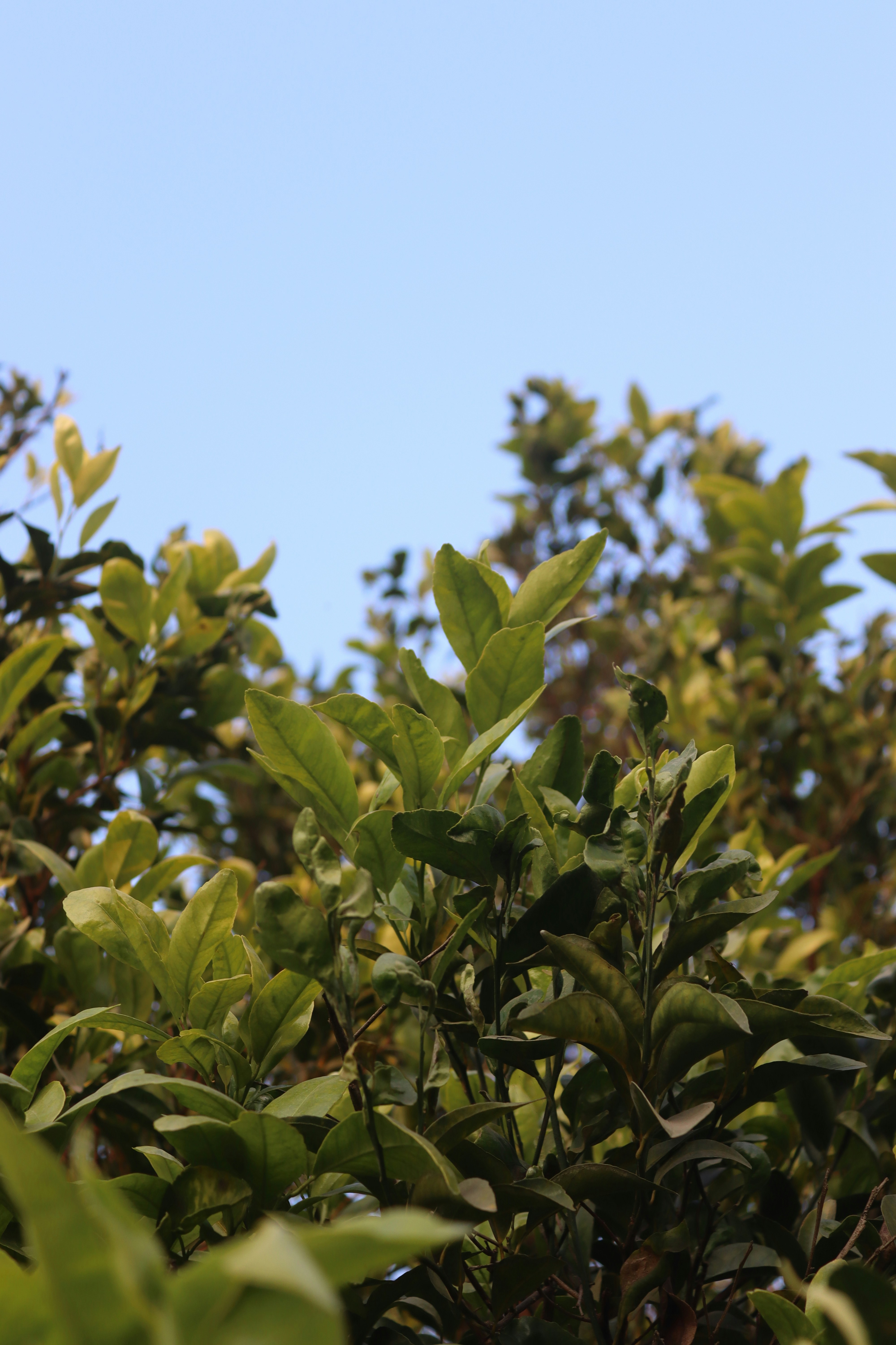 Photo by drphotographer152