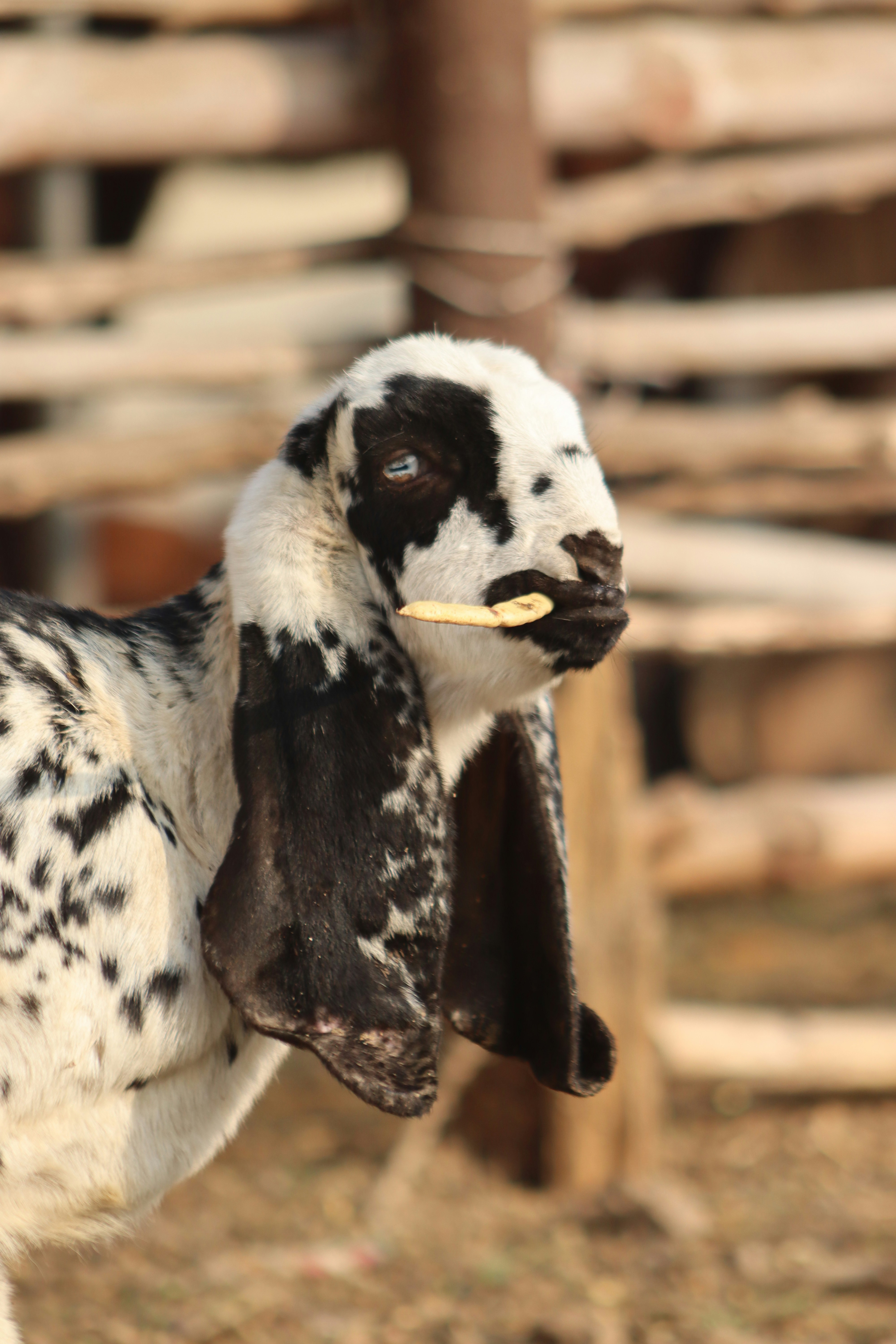 Photo by drphotographer152