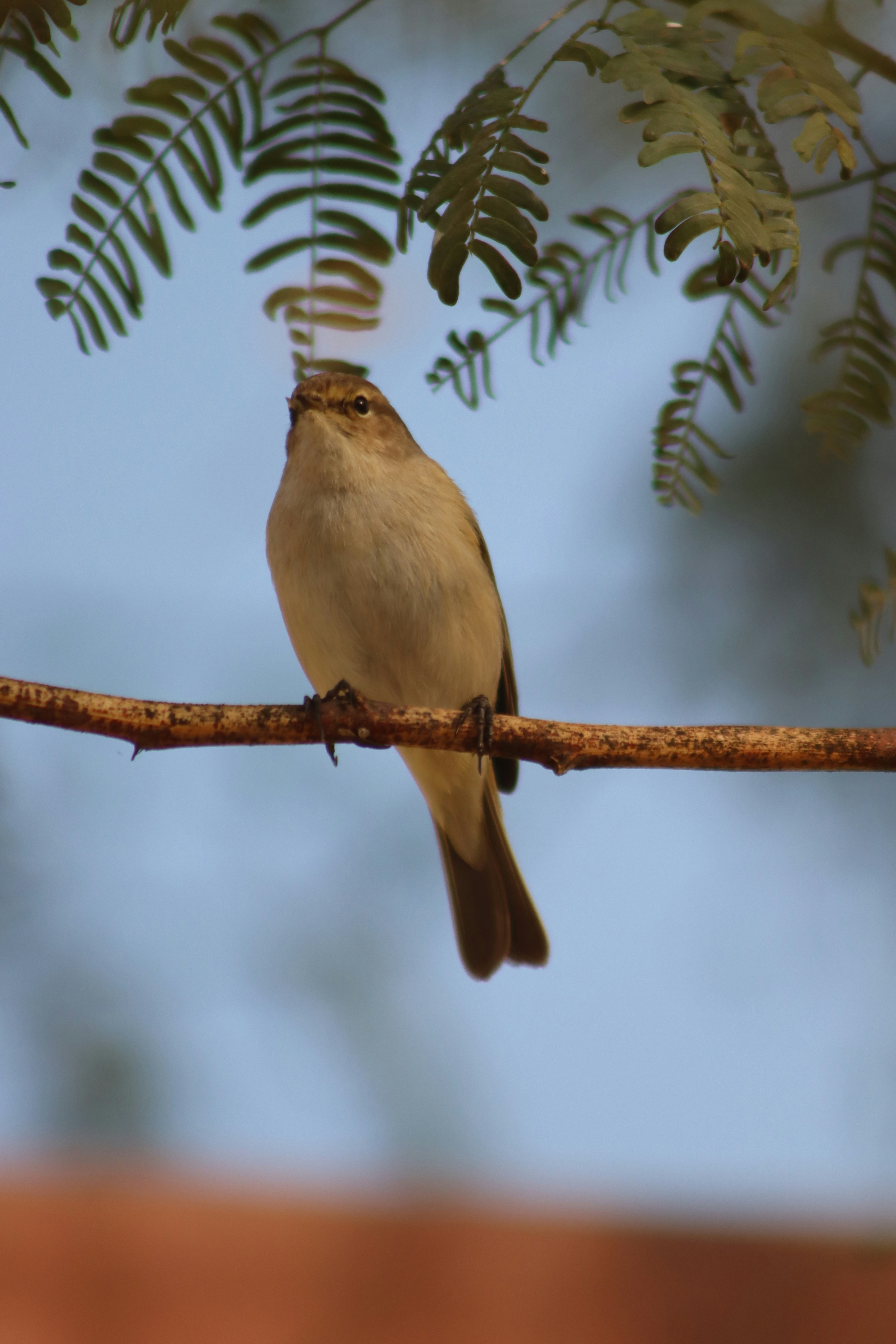 Photo by drphotographer152