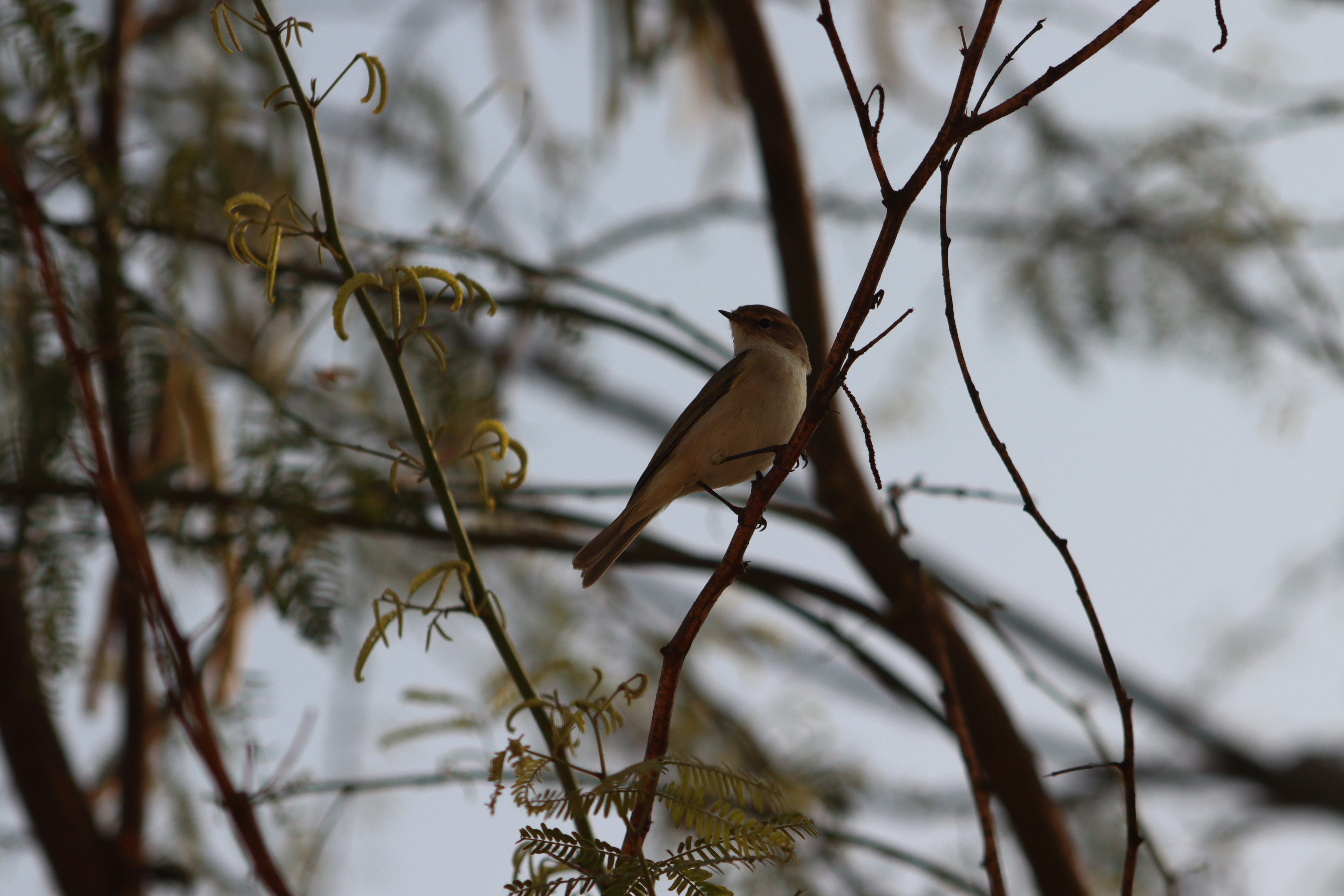 Photo by drphotographer152