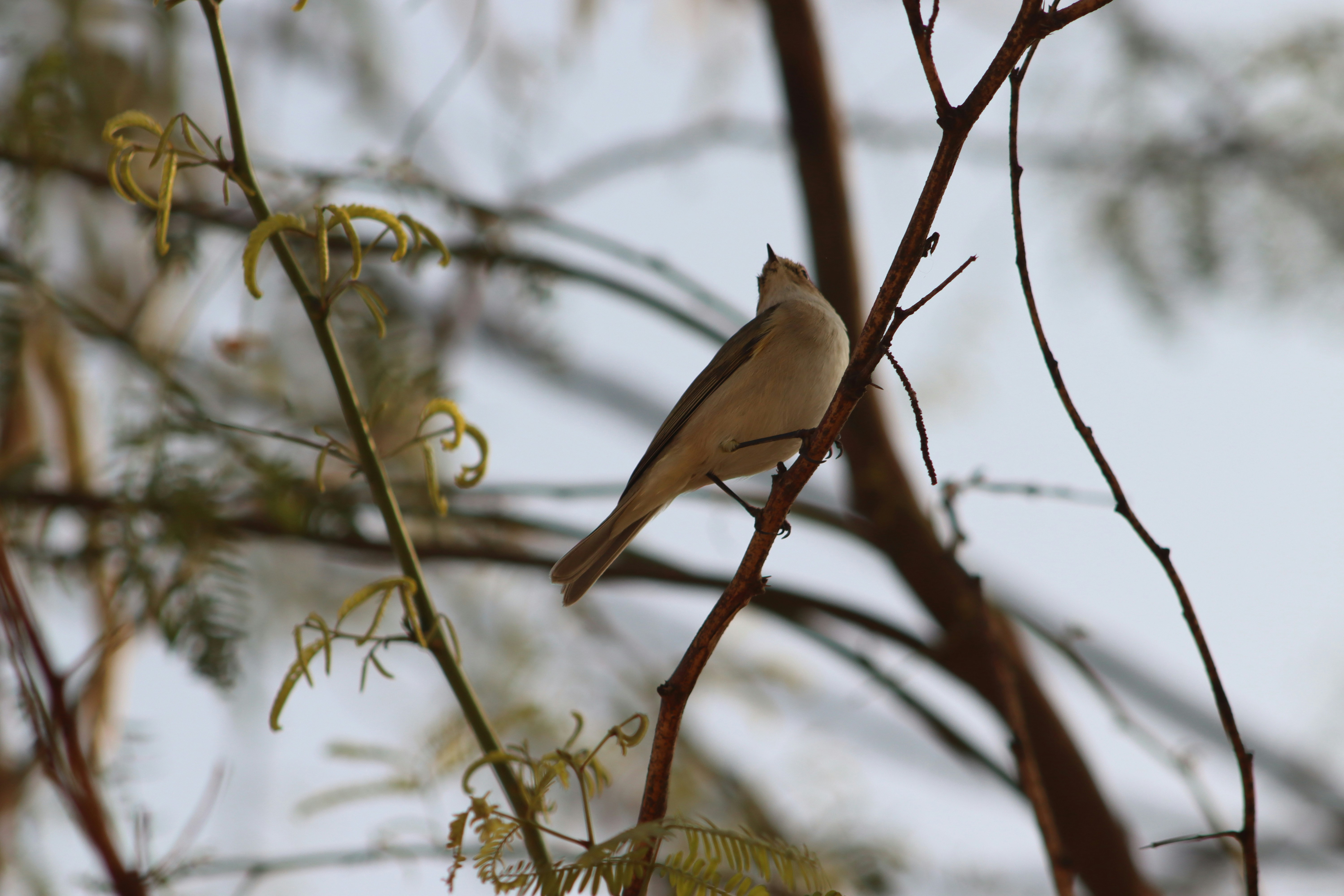 Photo by drphotographer152