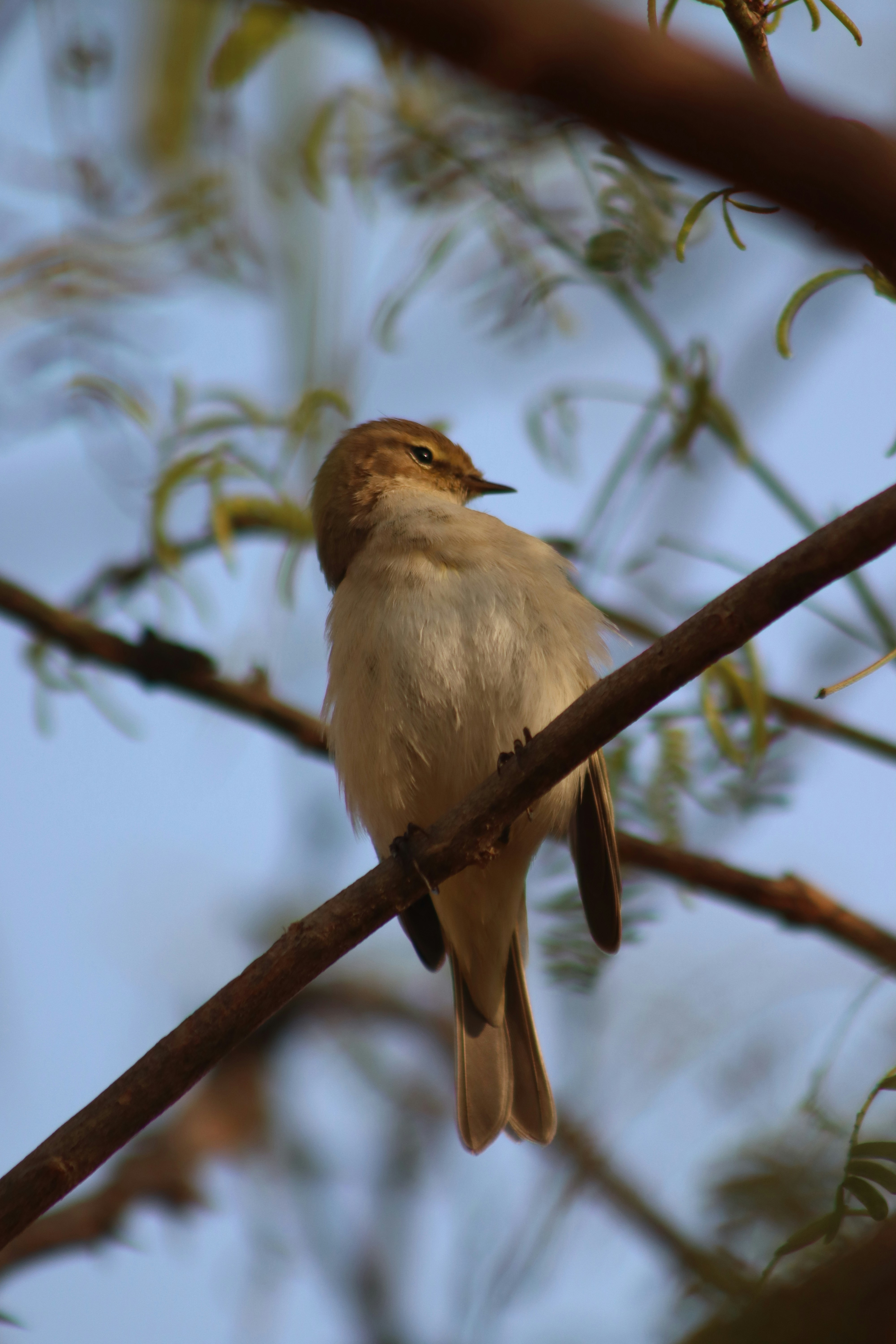 Photo by drphotographer152