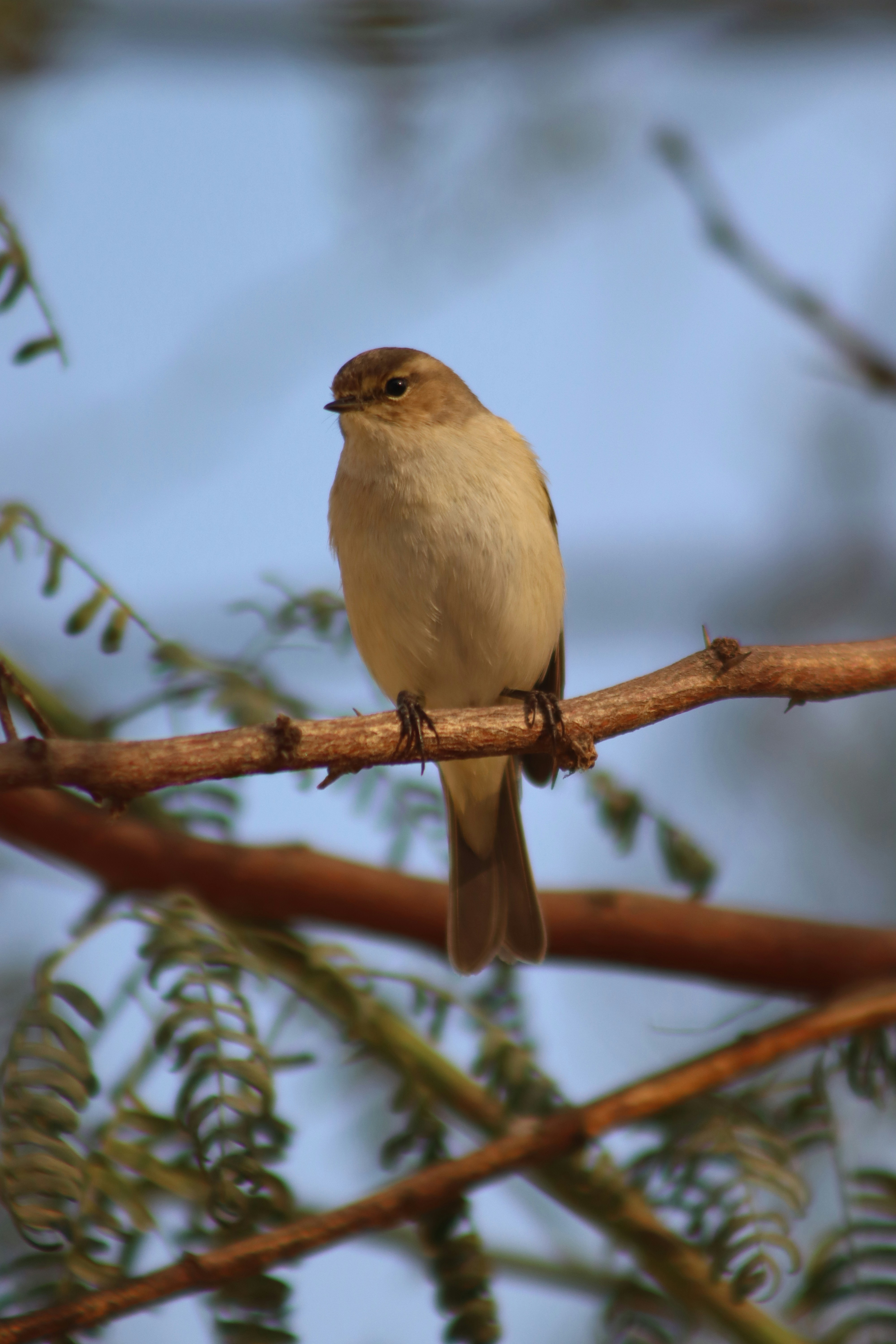 Photo by drphotographer152