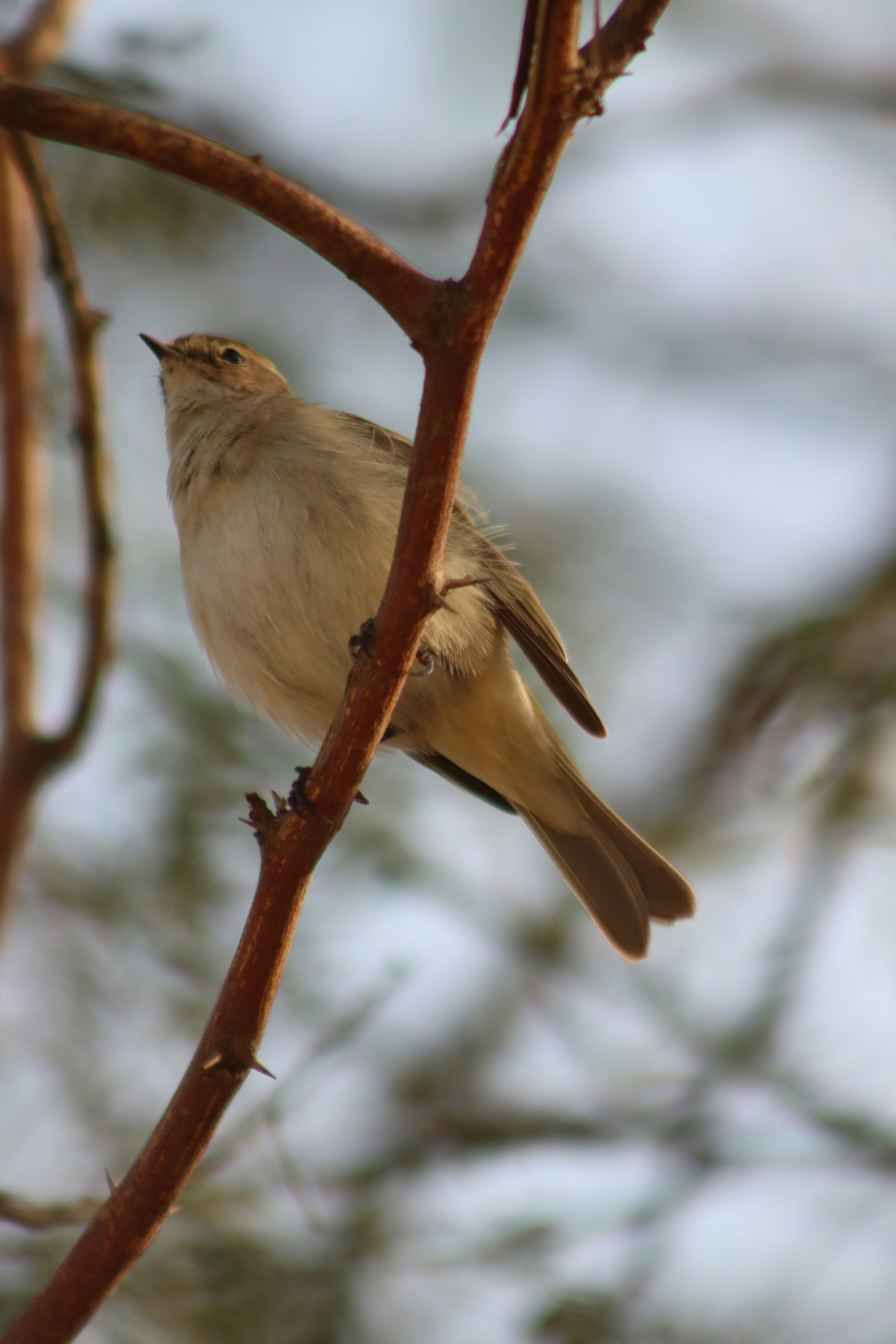 Photo by drphotographer152