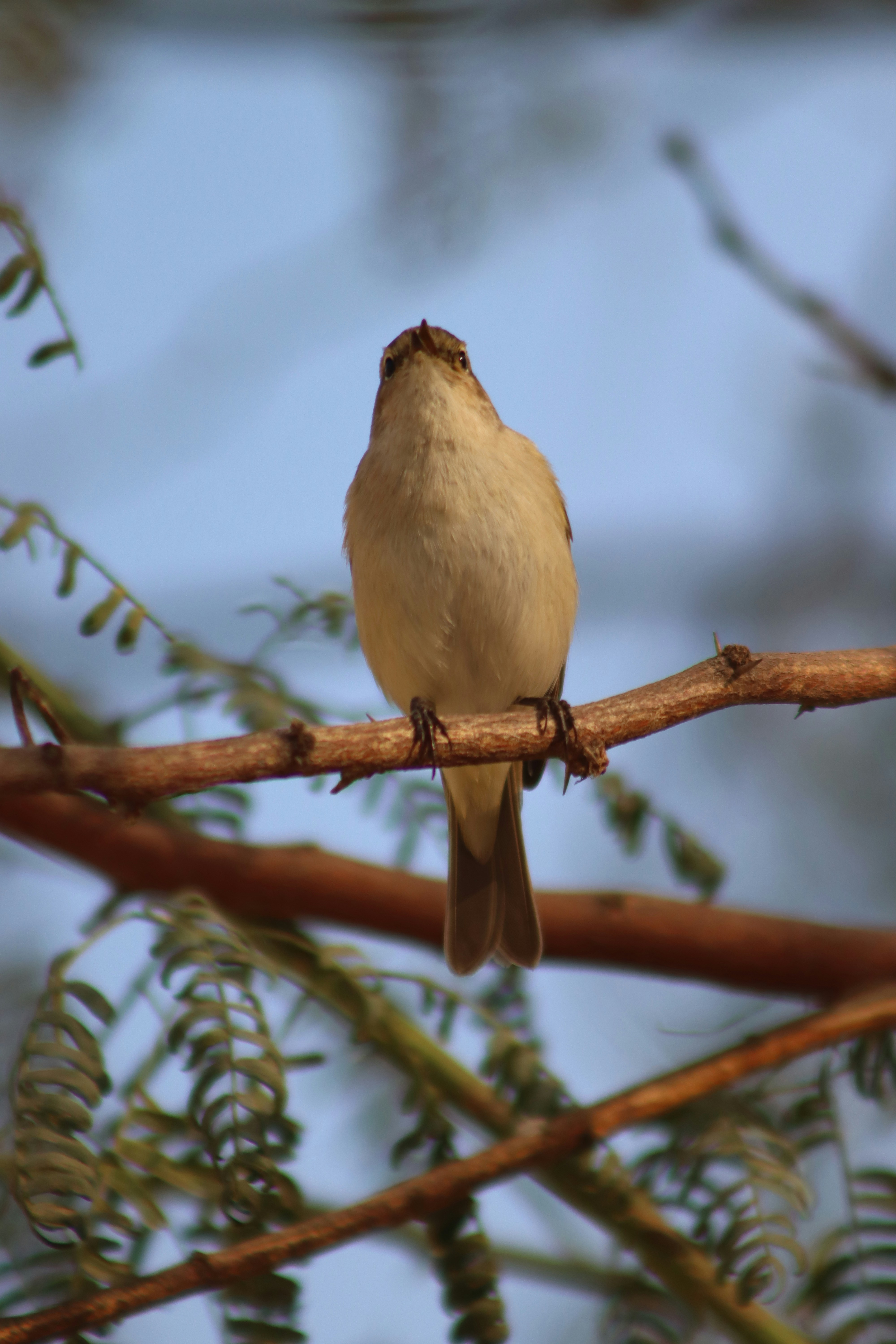 Photo by drphotographer152