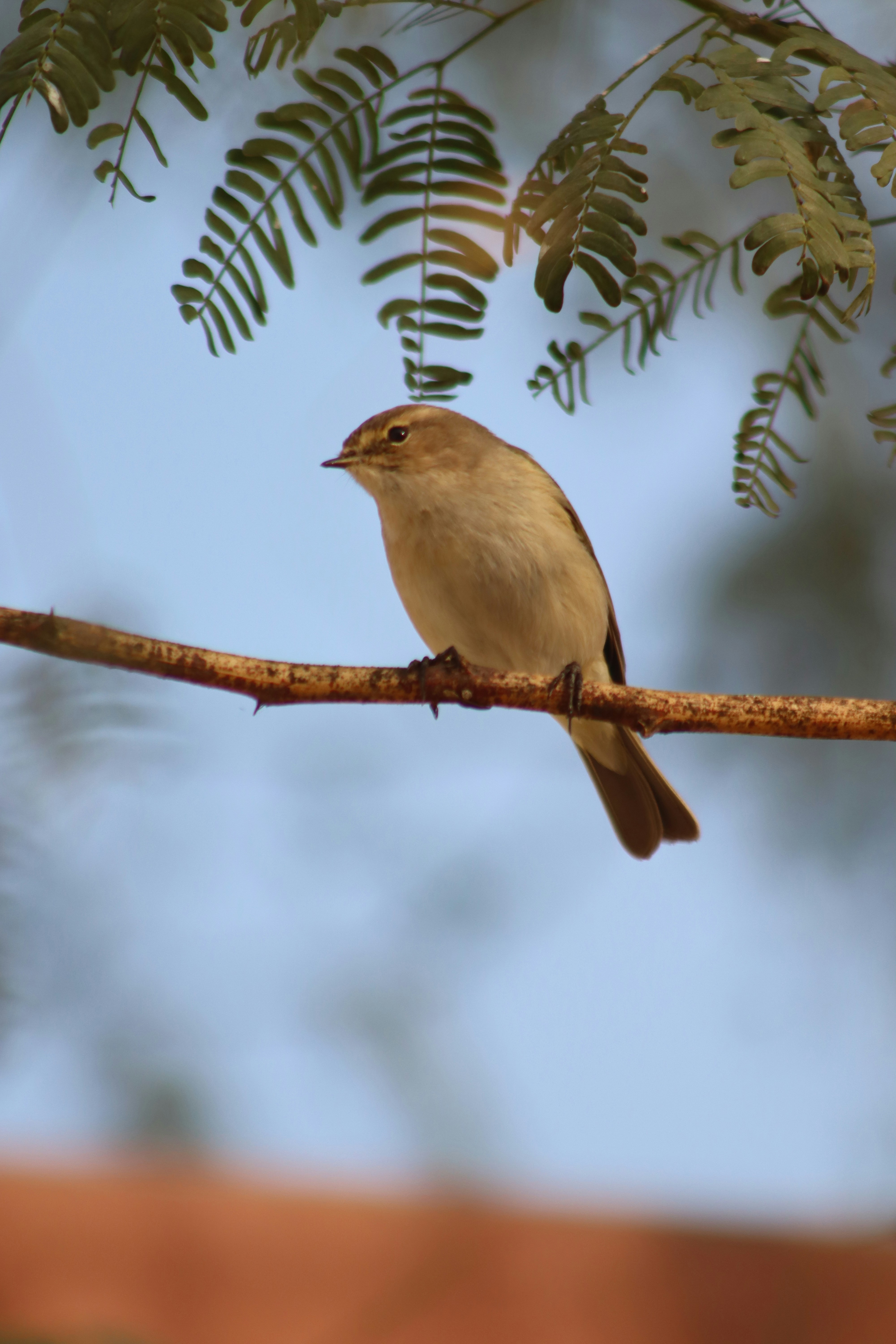 Photo by drphotographer152