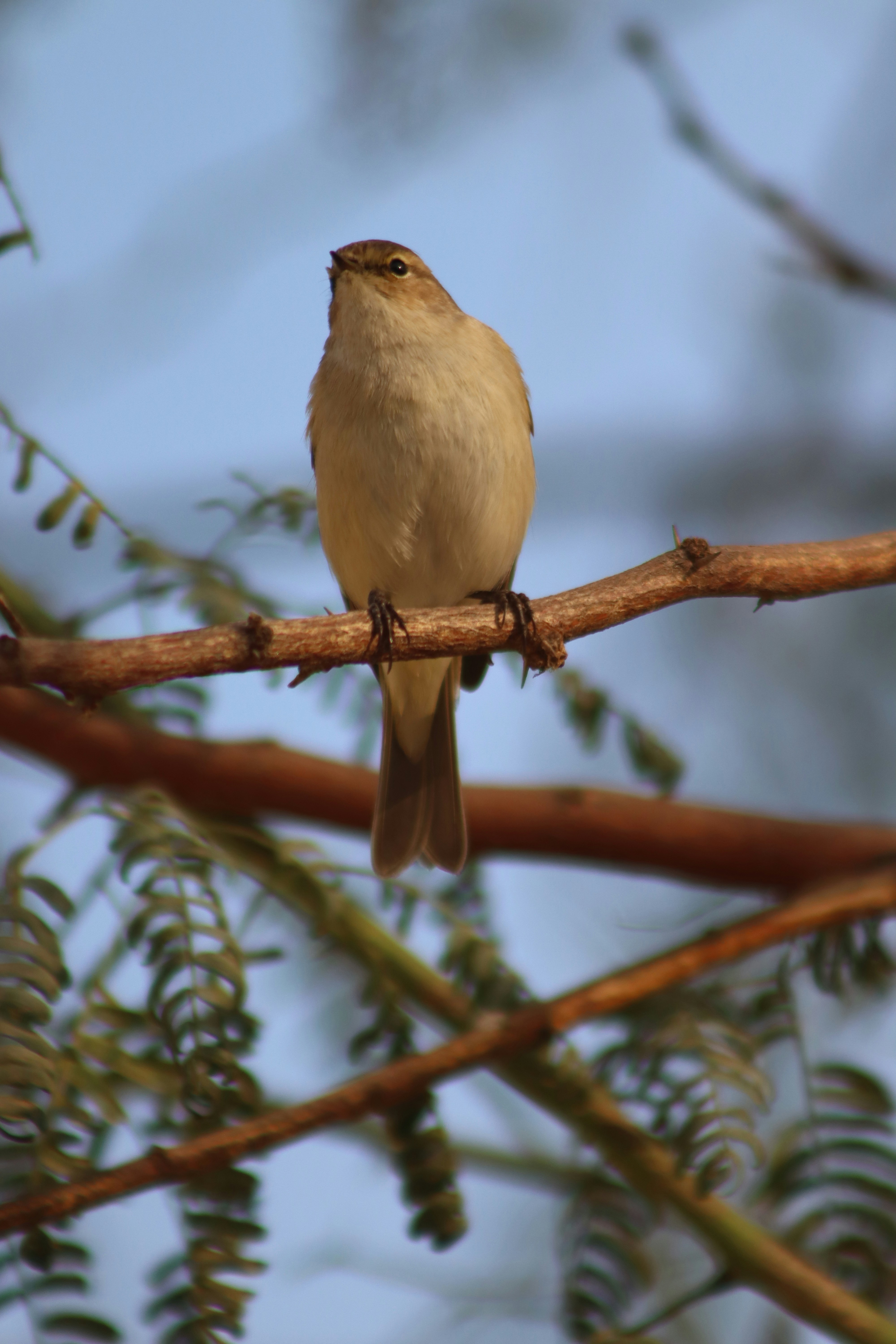 Photo by drphotographer152