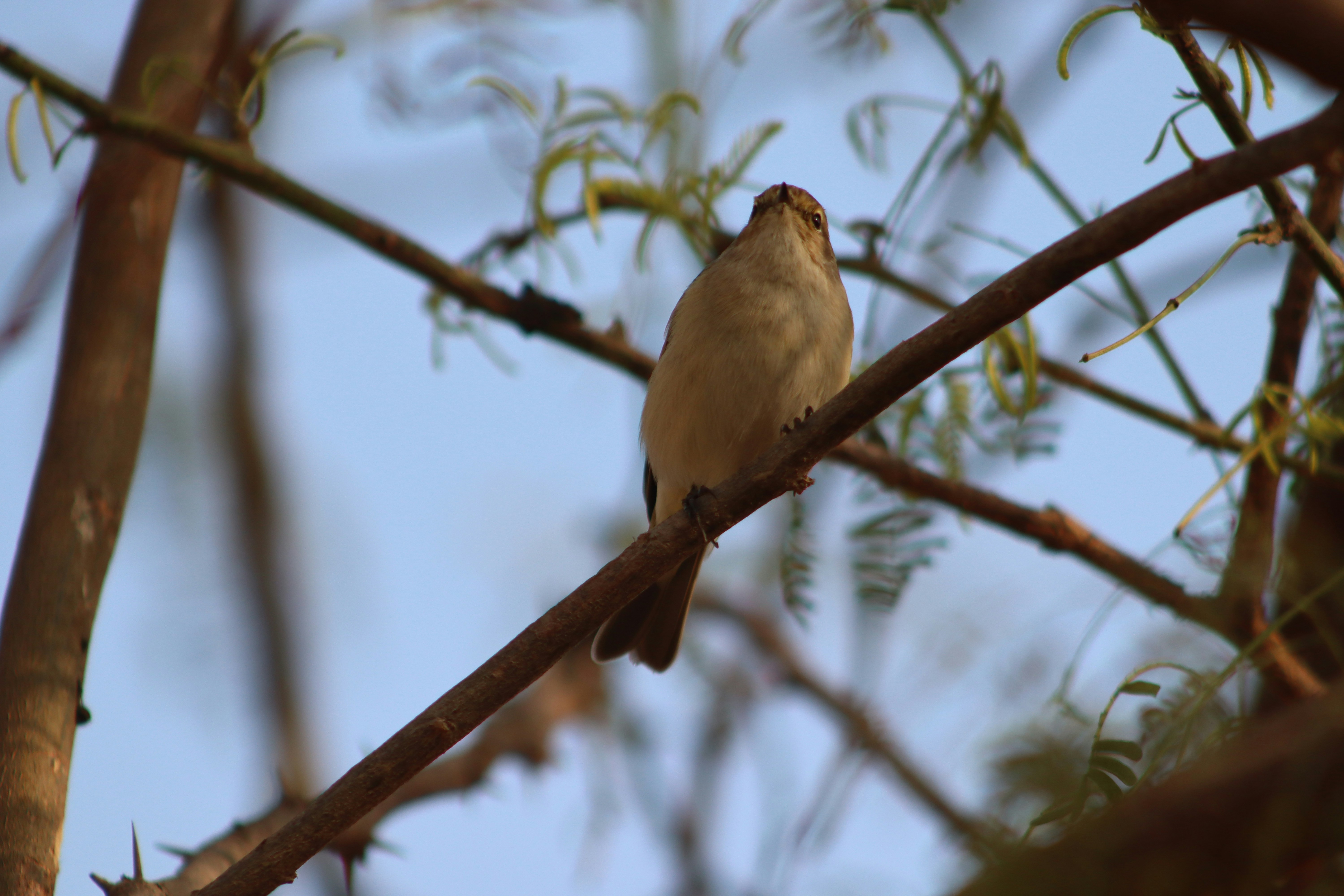 Photo by drphotographer152