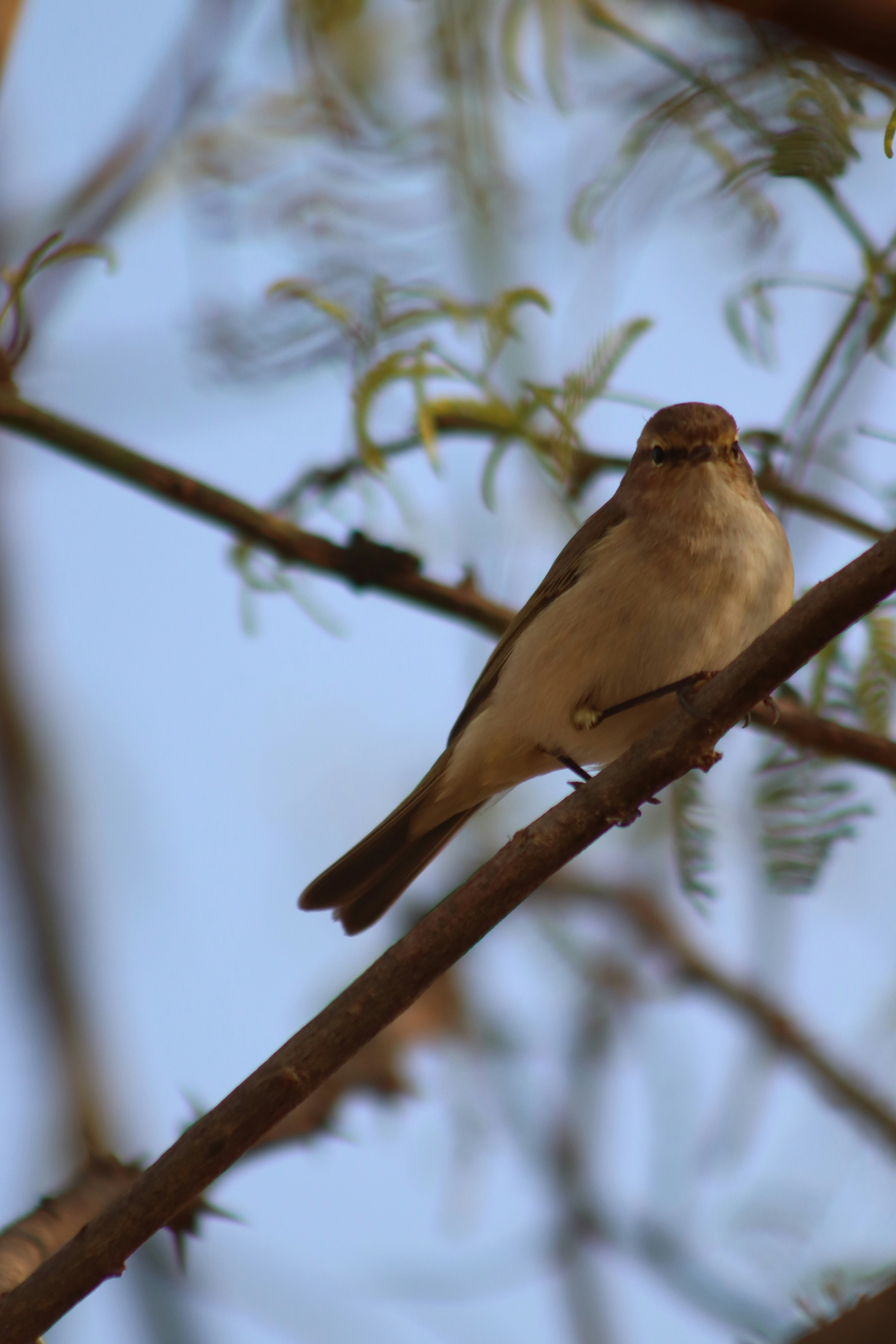 Photo by drphotographer152