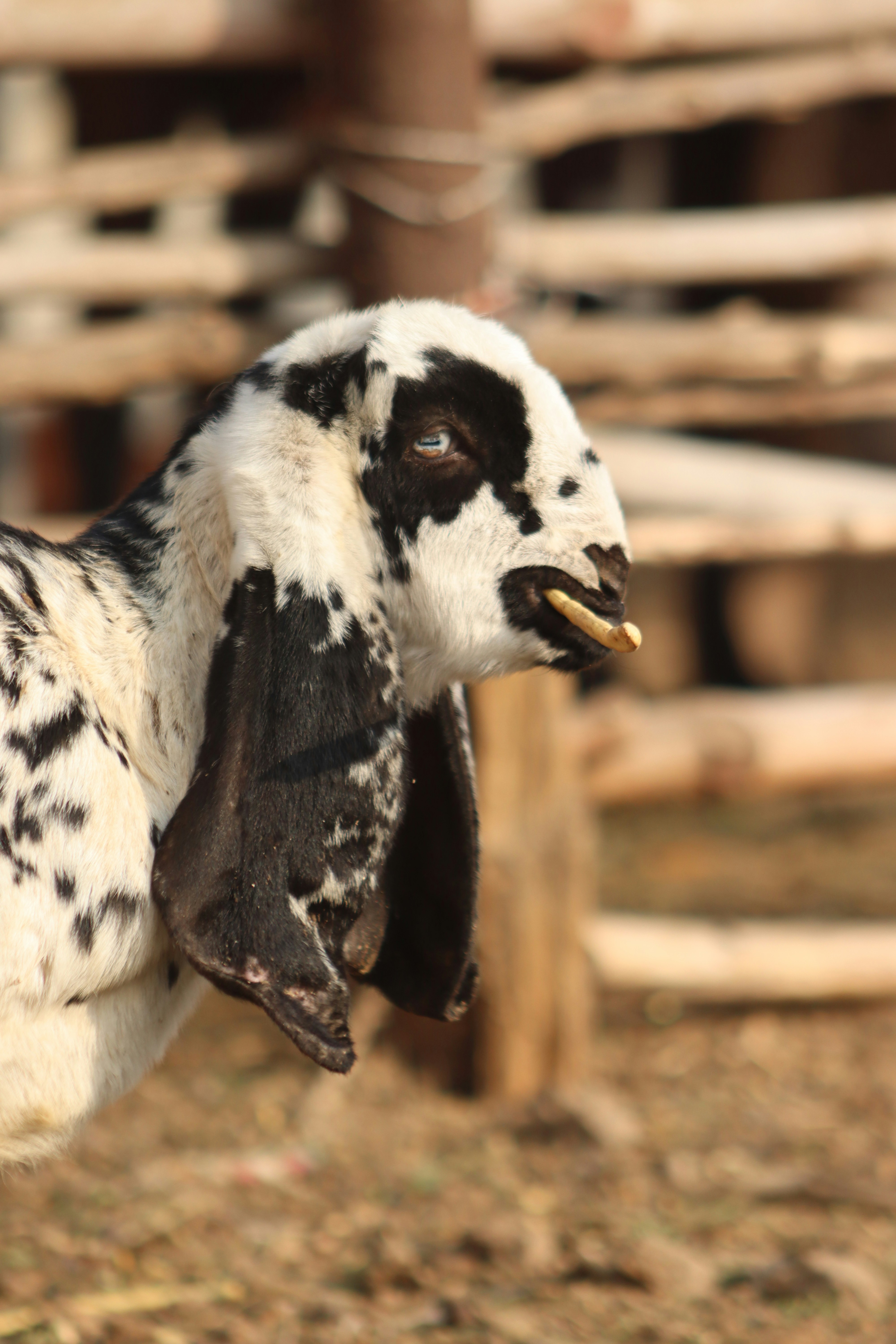 Photo by drphotographer152