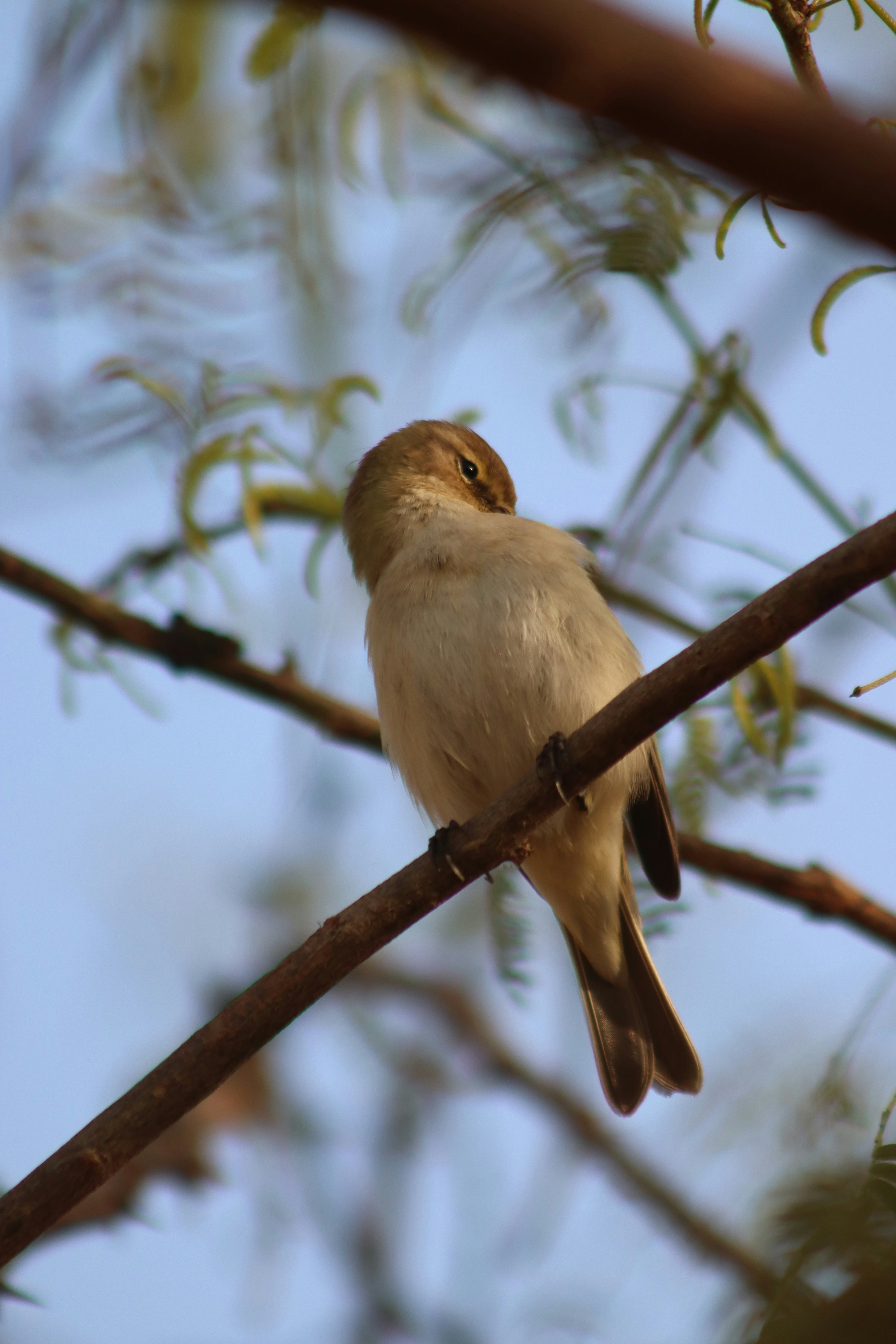 Photo by drphotographer152