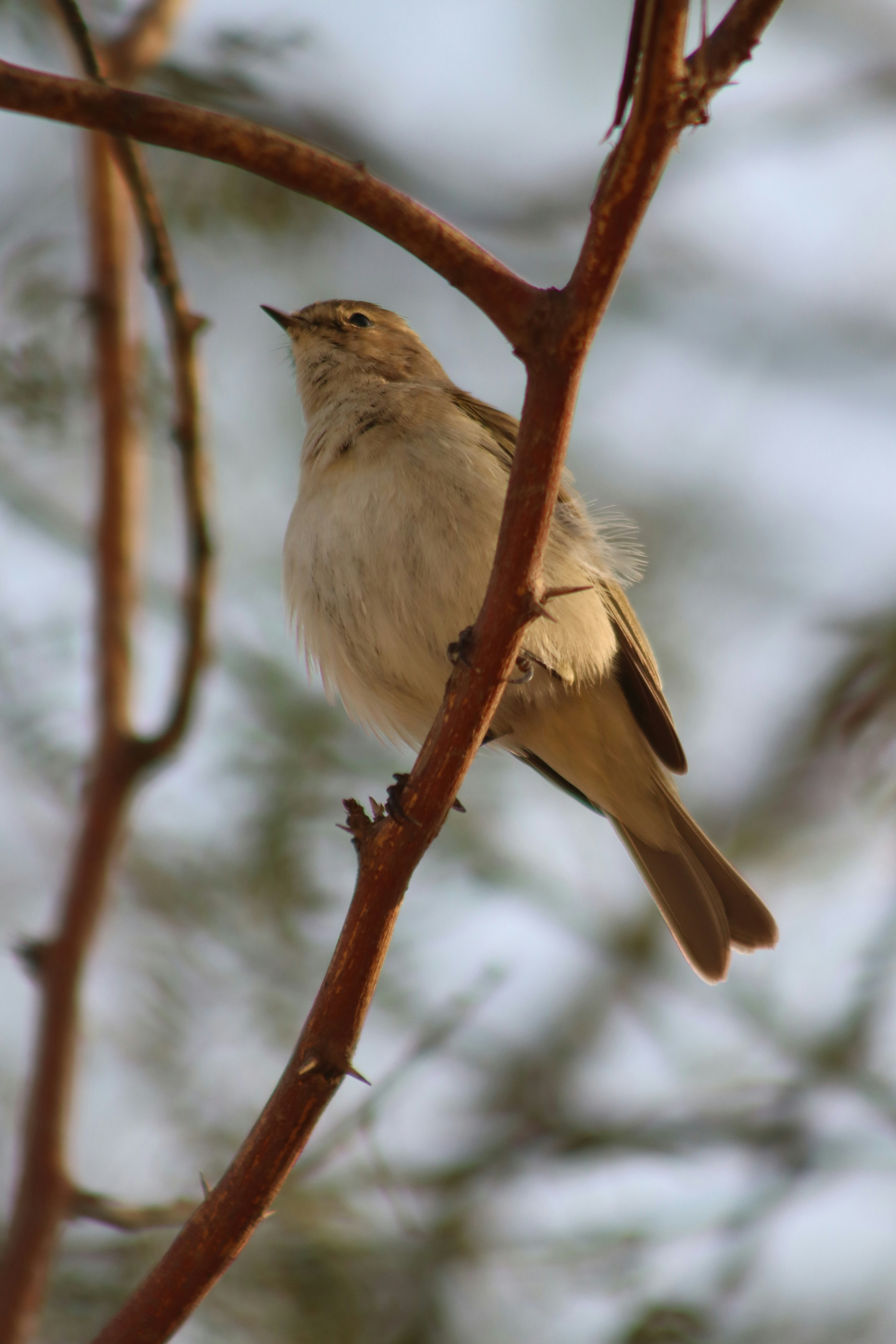 Photo by drphotographer152