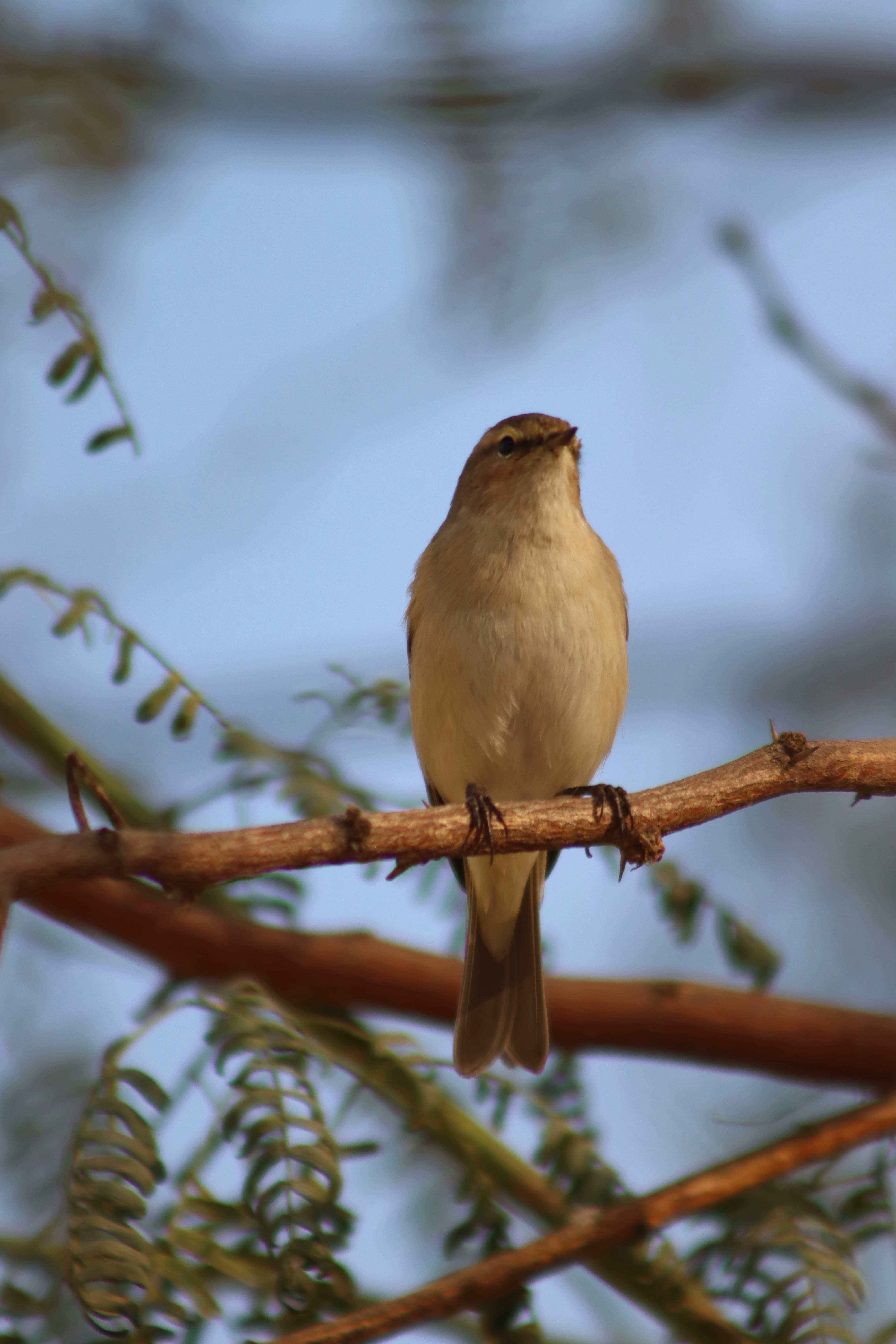 Photo by drphotographer152