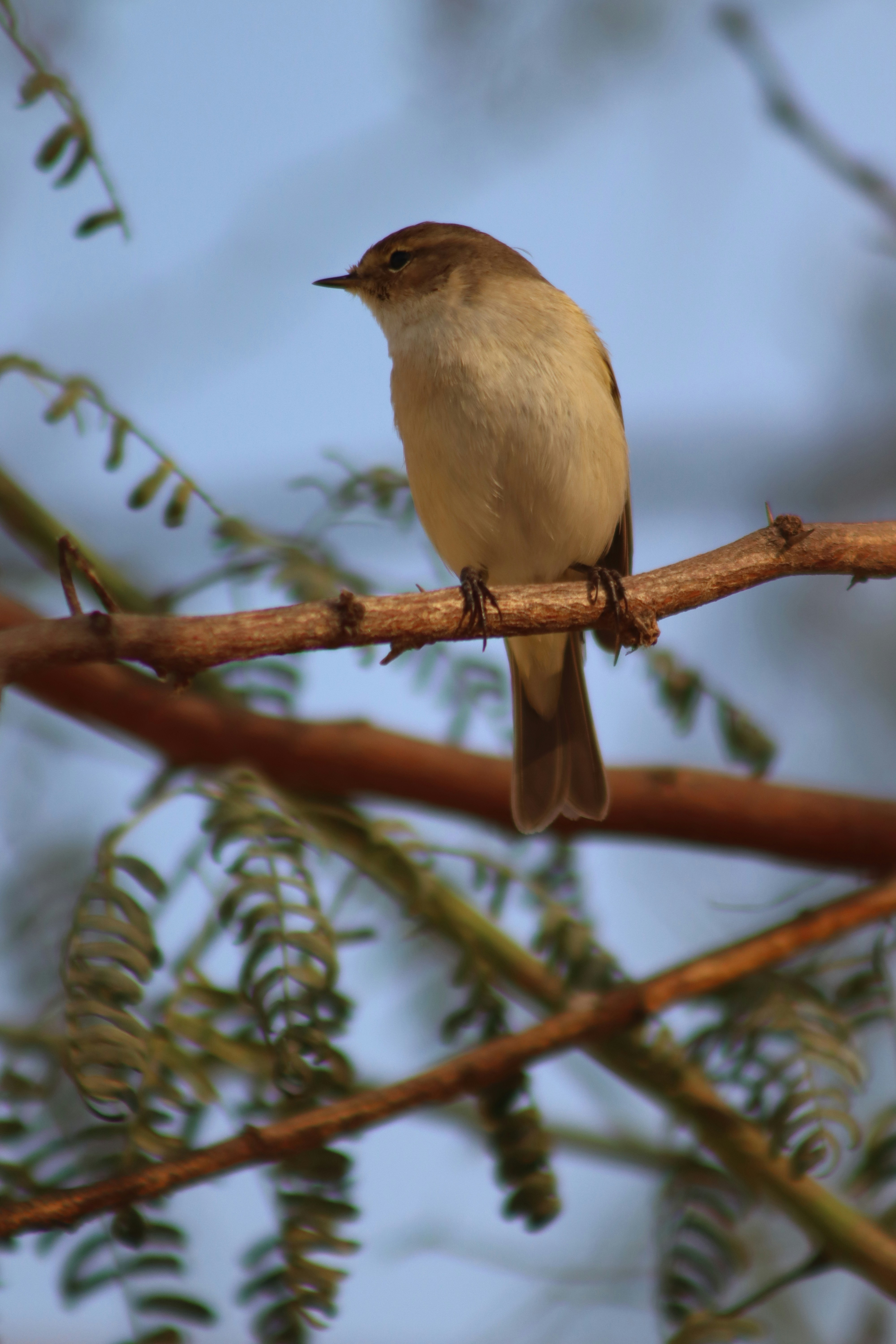 Photo by drphotographer152