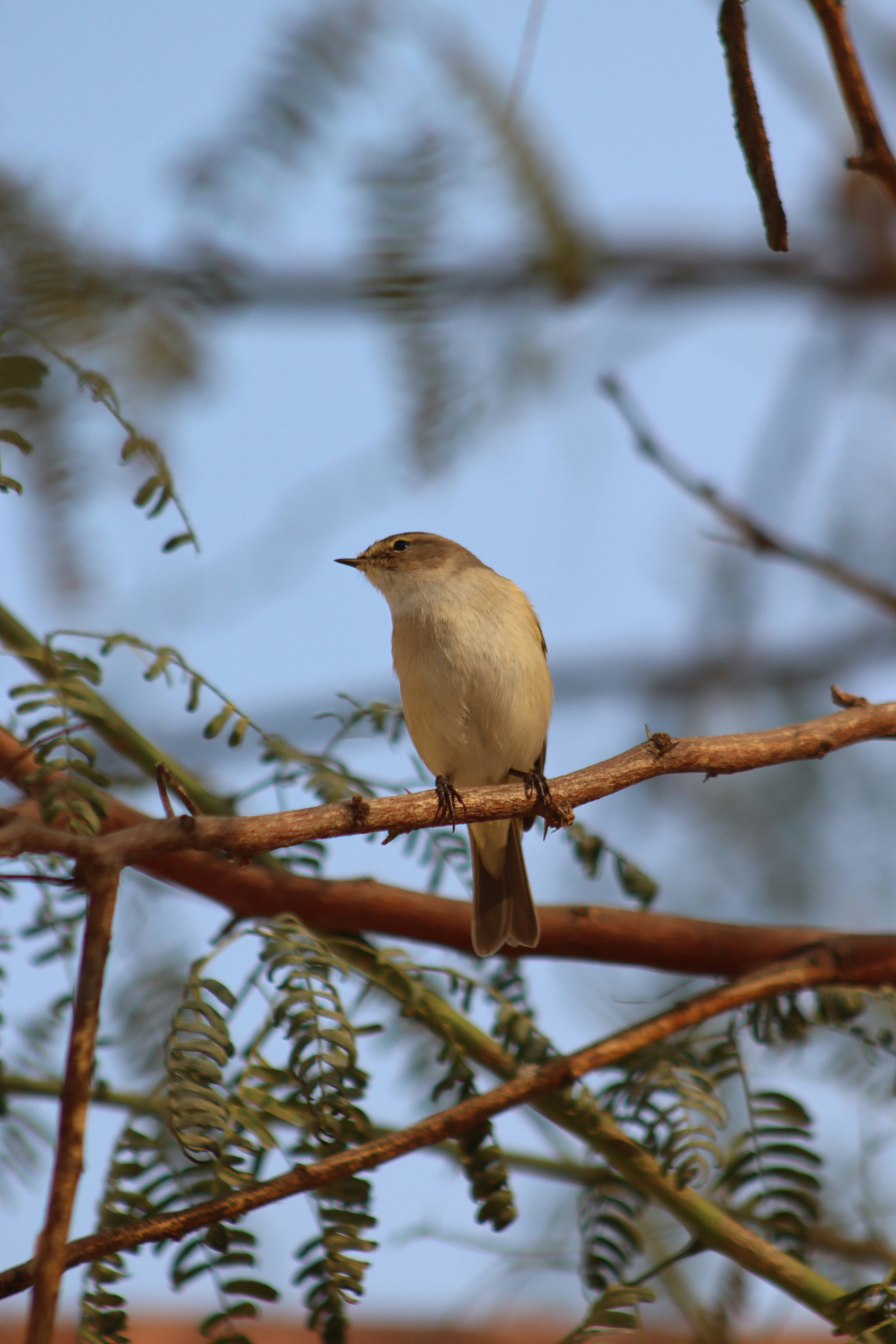 Photo by drphotographer152