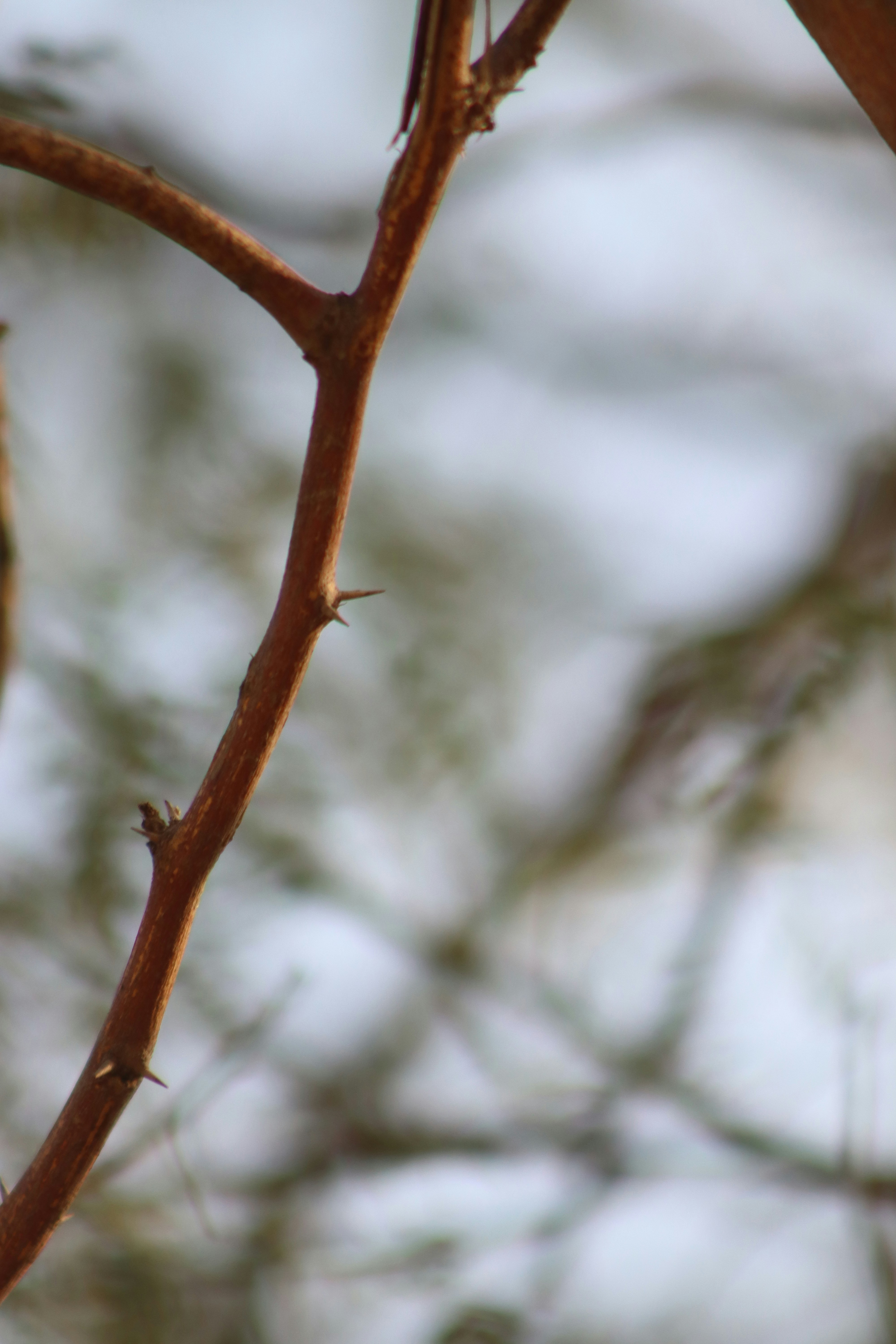 Photo by drphotographer152