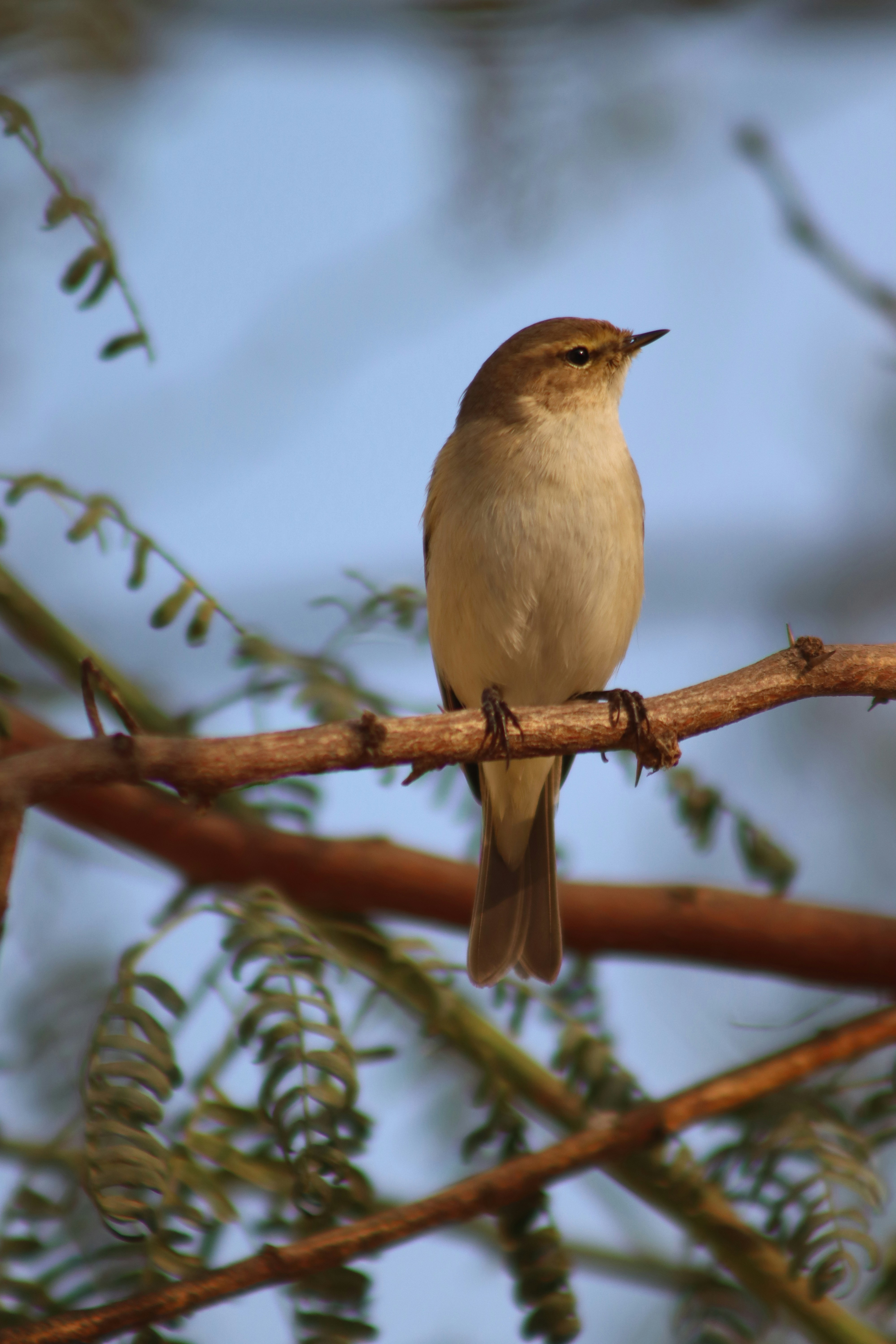 Photo by drphotographer152