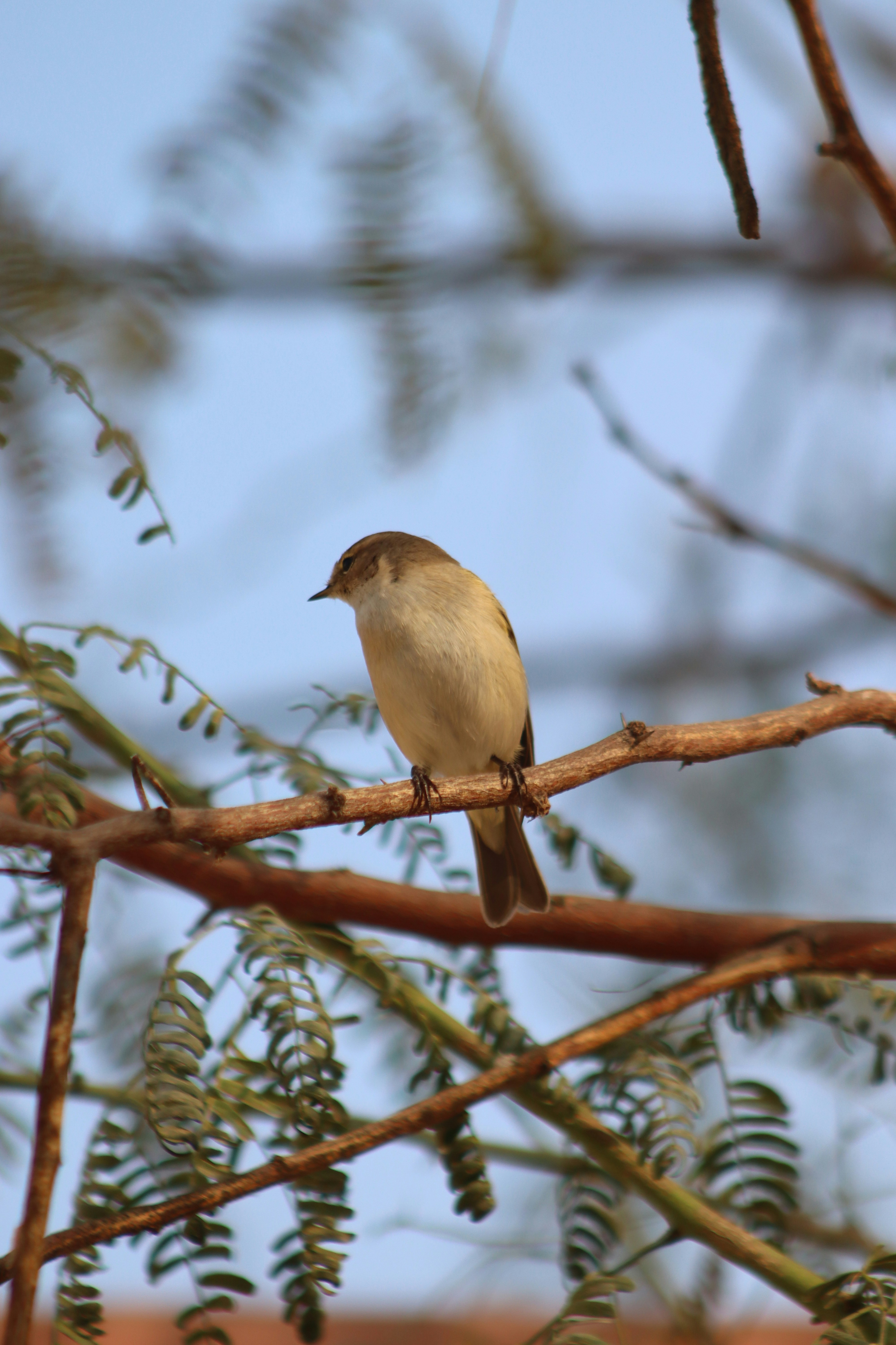 Photo by drphotographer152