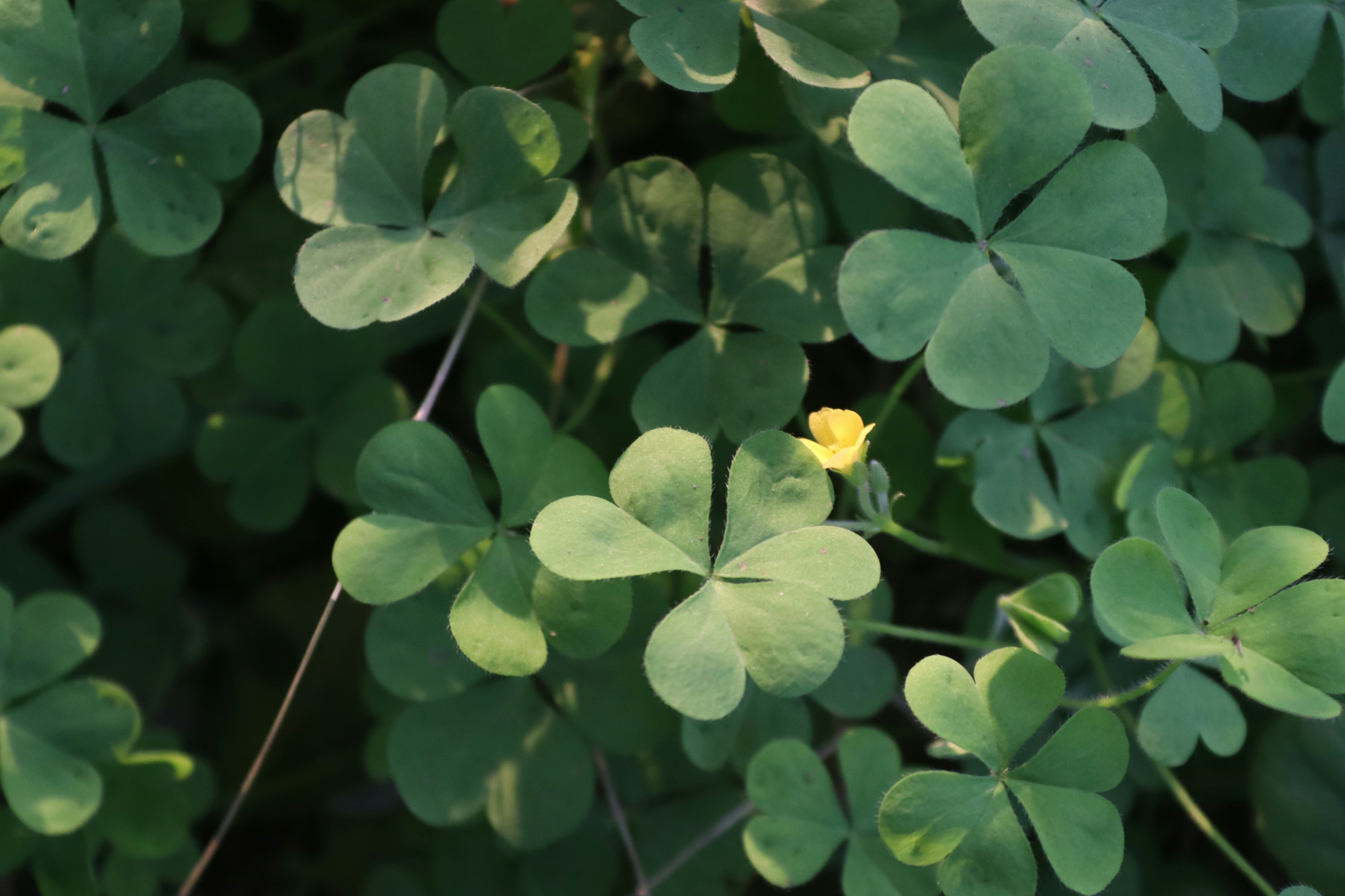 Photo by drphotographer152