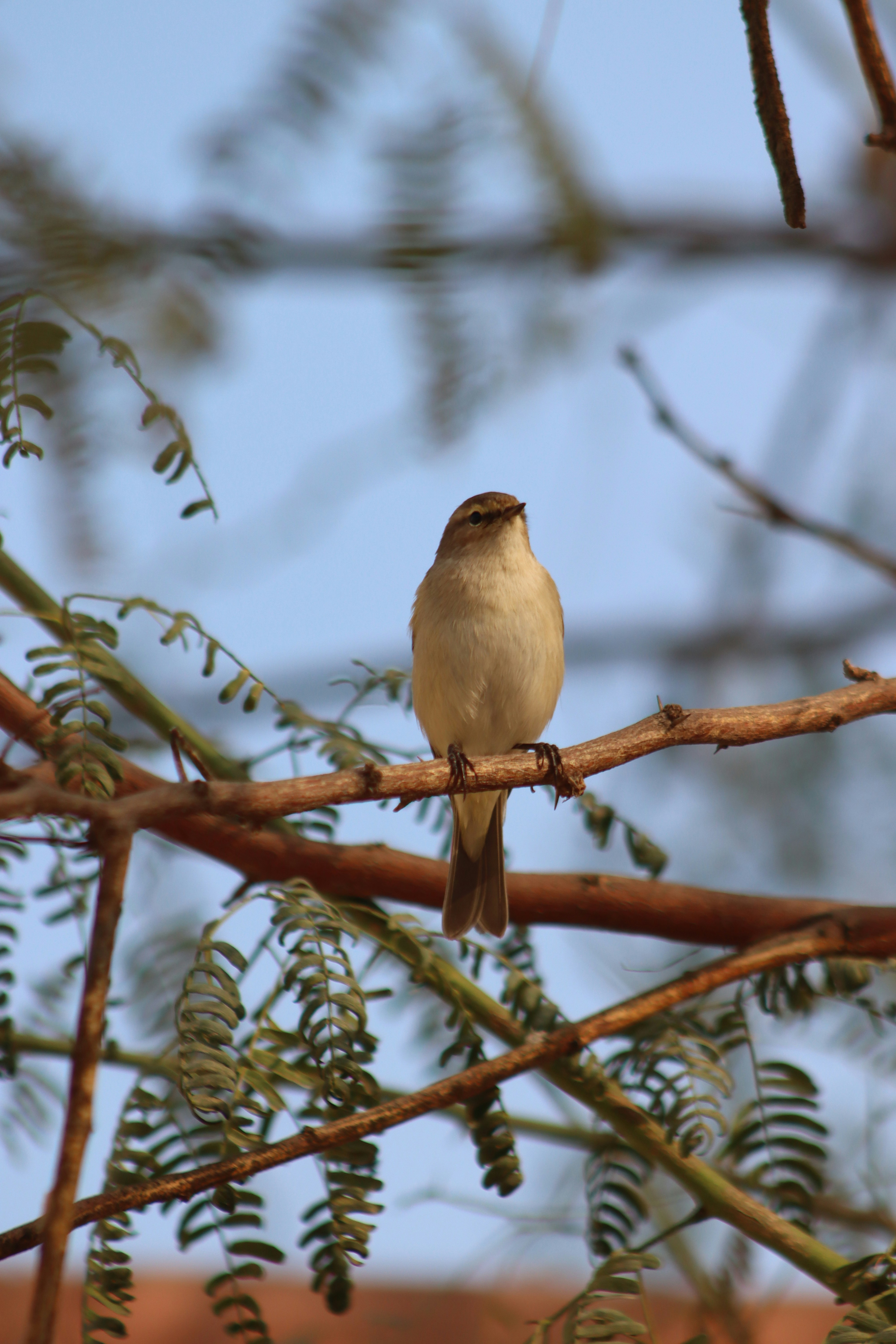 Photo by drphotographer152