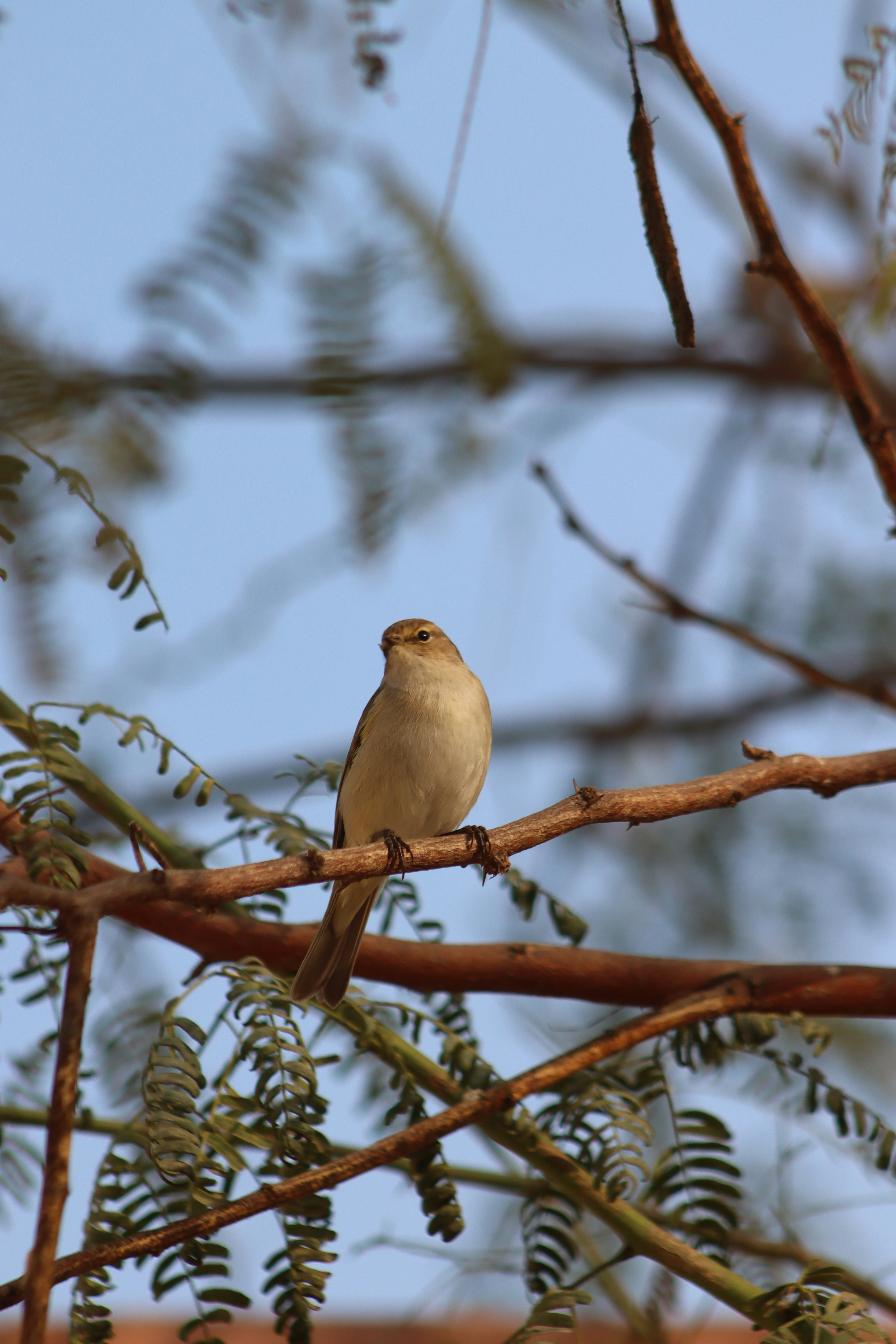 Photo by drphotographer152