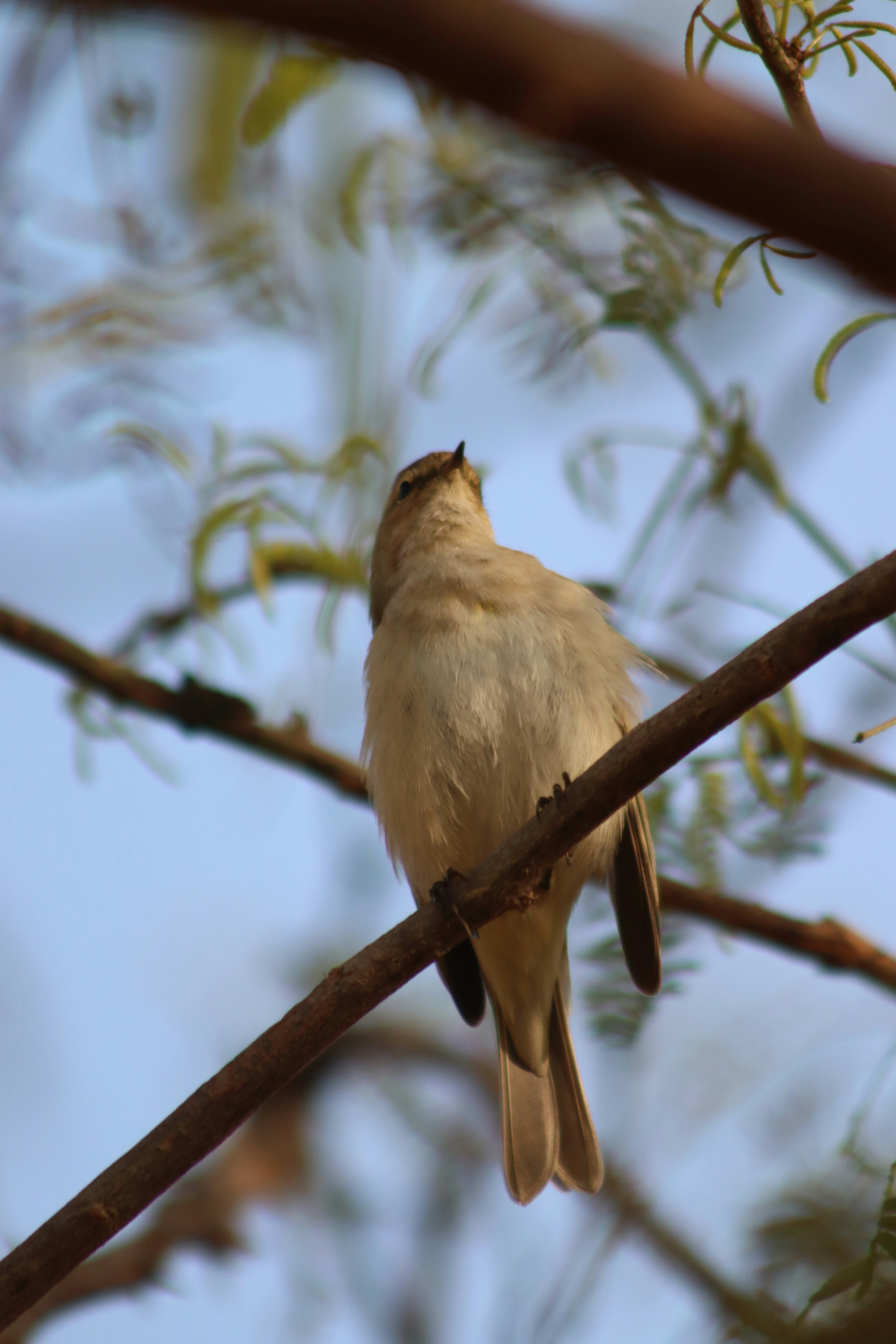 Photo by drphotographer152