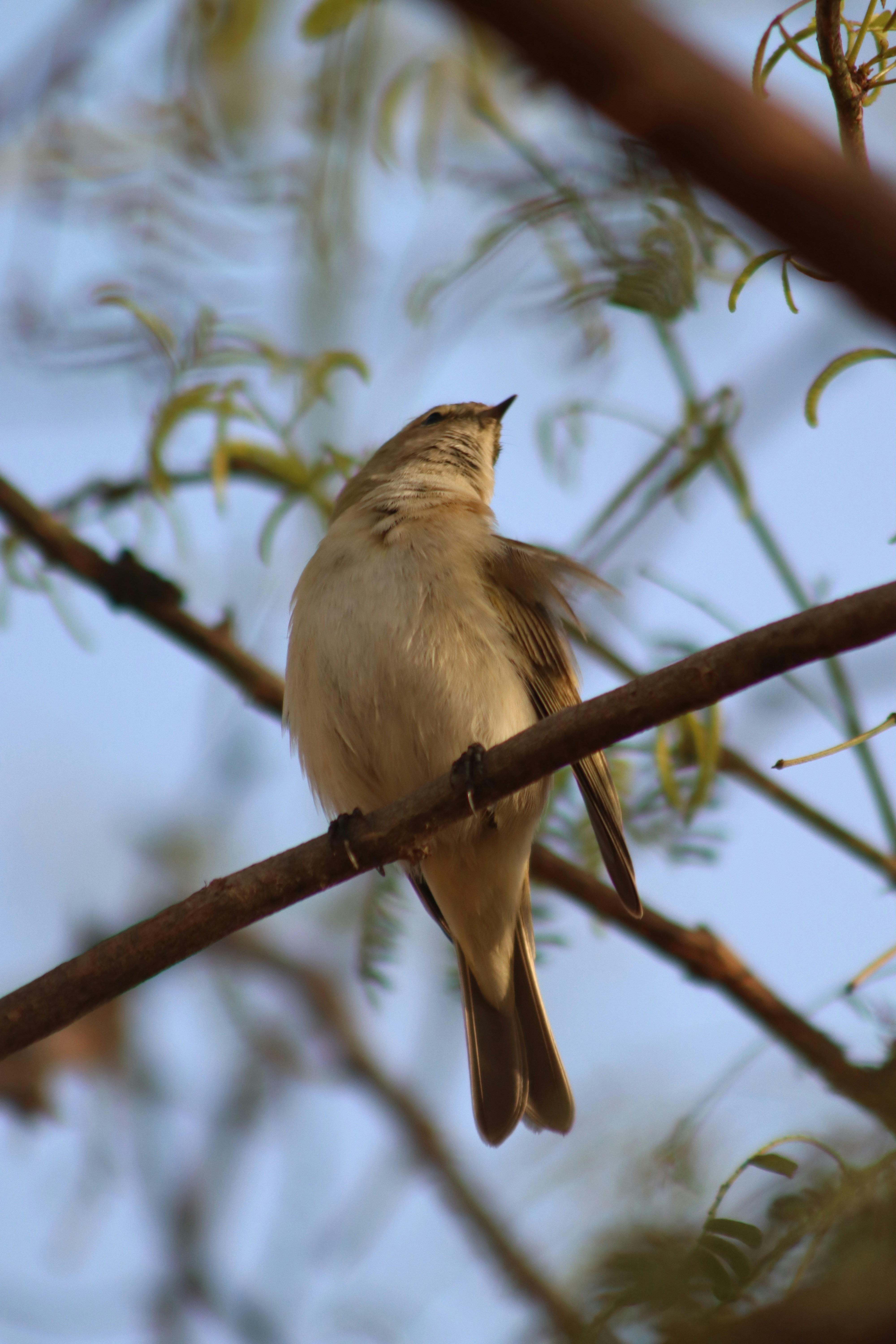 Photo by drphotographer152