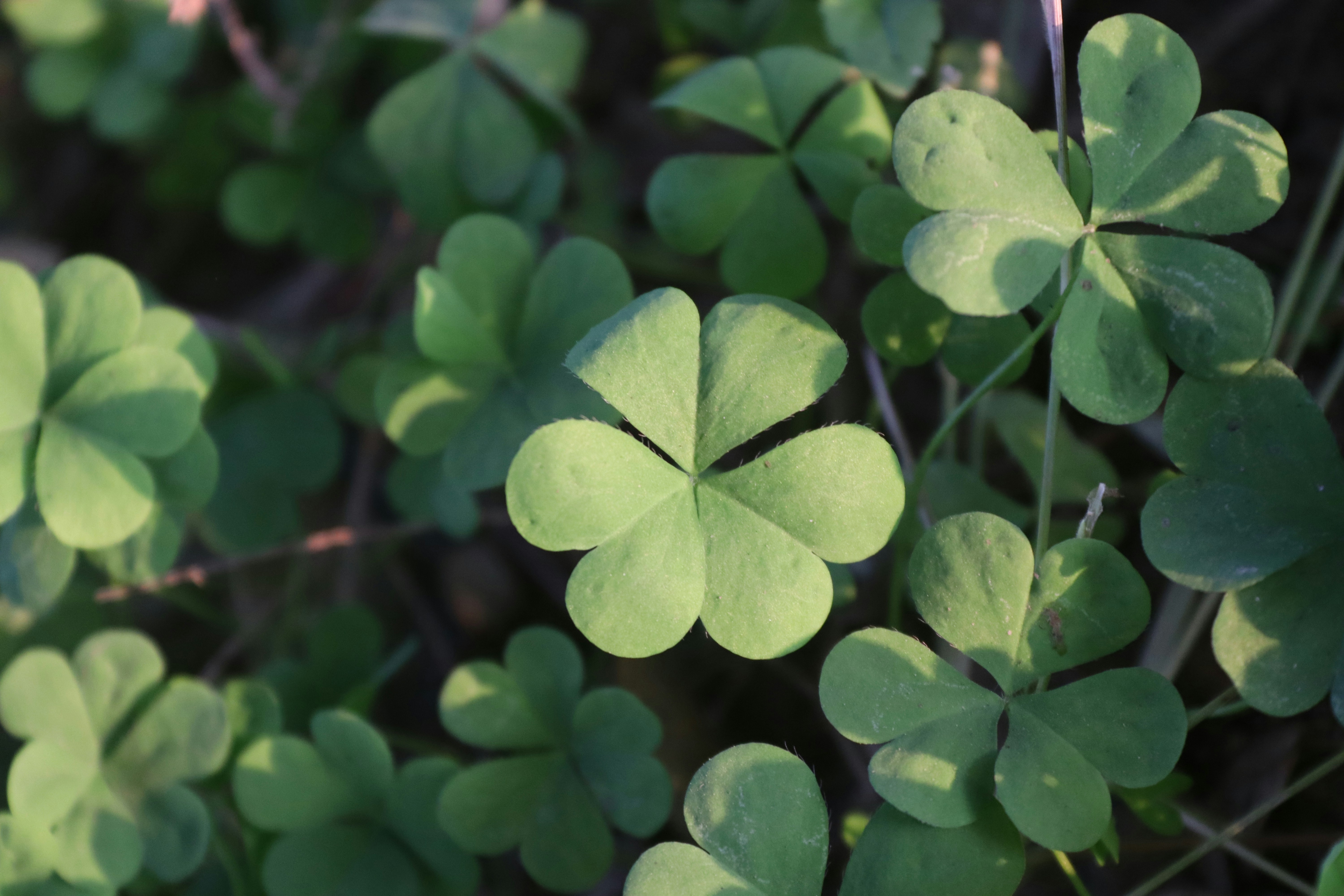 Photo by drphotographer152